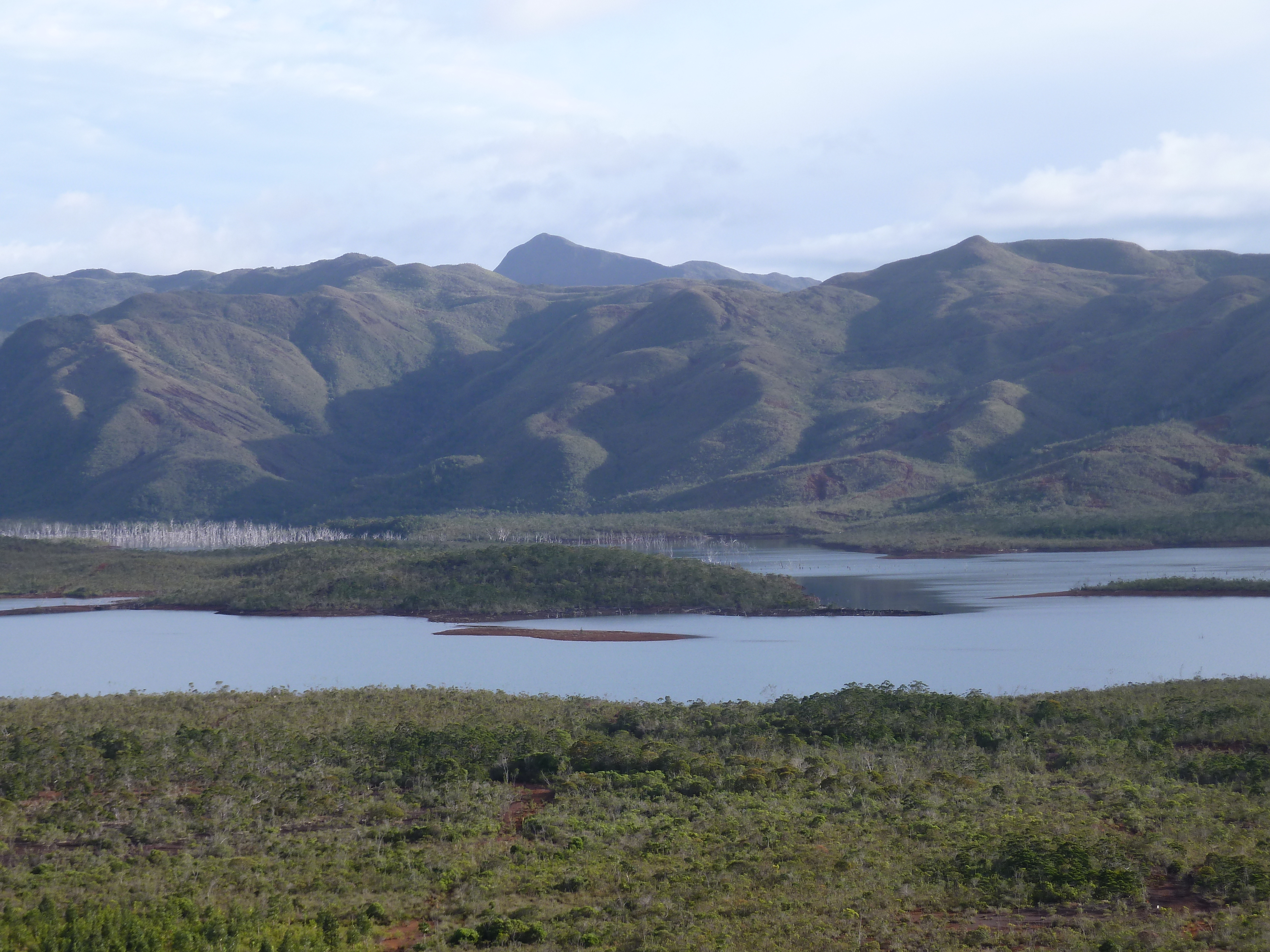 Picture New Caledonia Parc de la Riviere Bleue 2010-05 29 - Around Parc de la Riviere Bleue