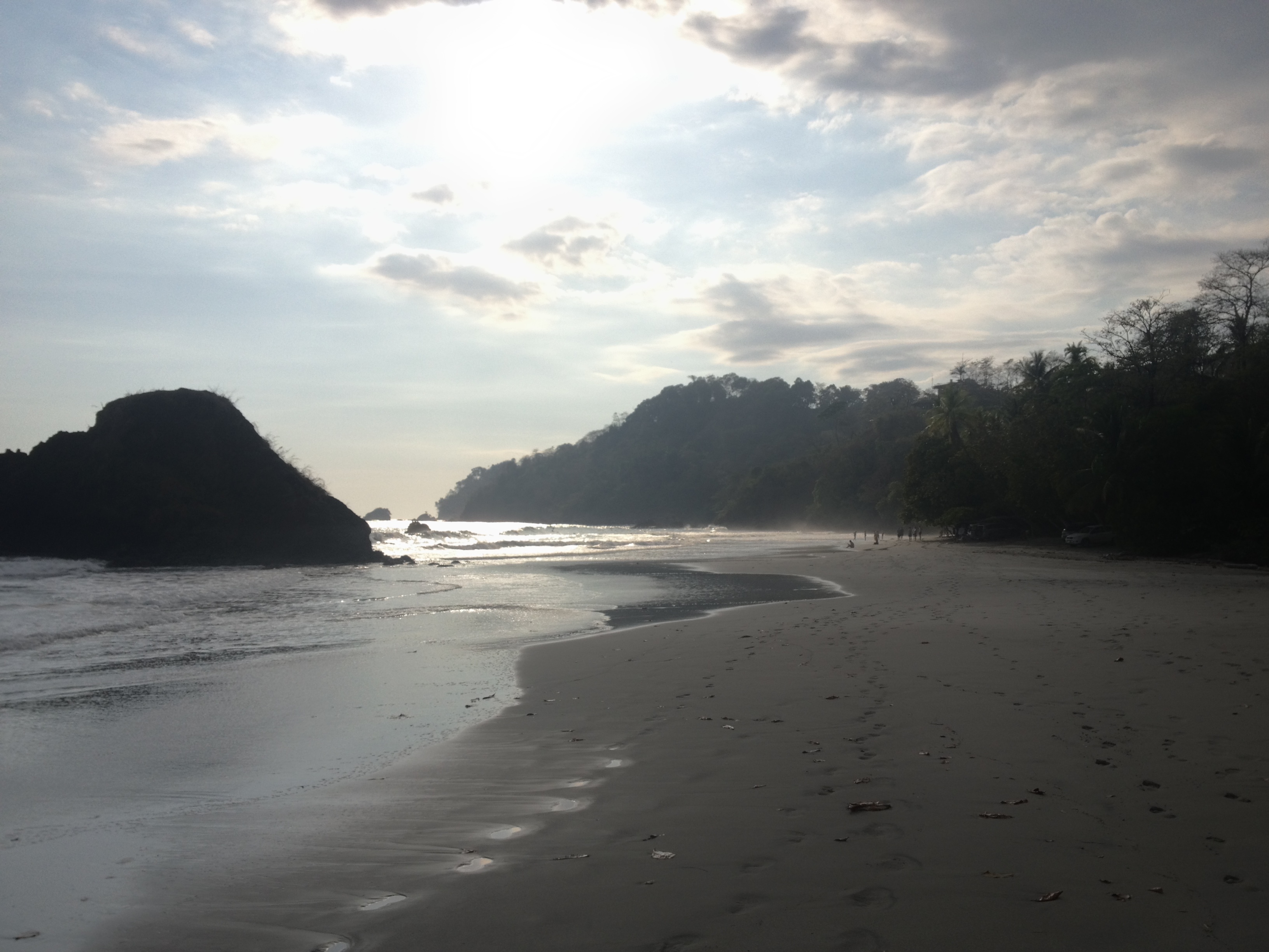 Picture Costa Rica Manuel Antonio 2015-03 450 - Tours Manuel Antonio