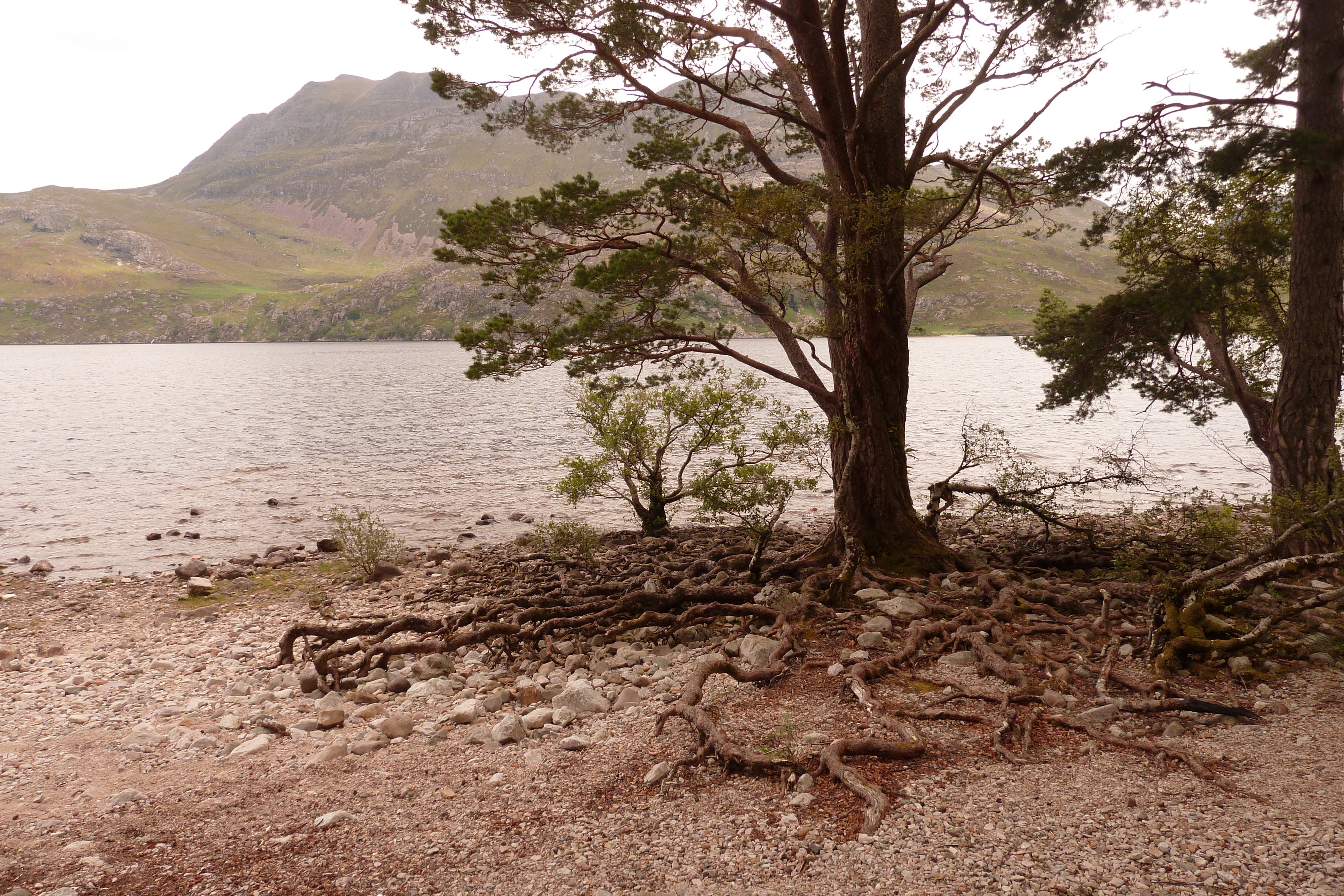 Picture United Kingdom Scotland Loch Maree 2011-07 8 - Journey Loch Maree