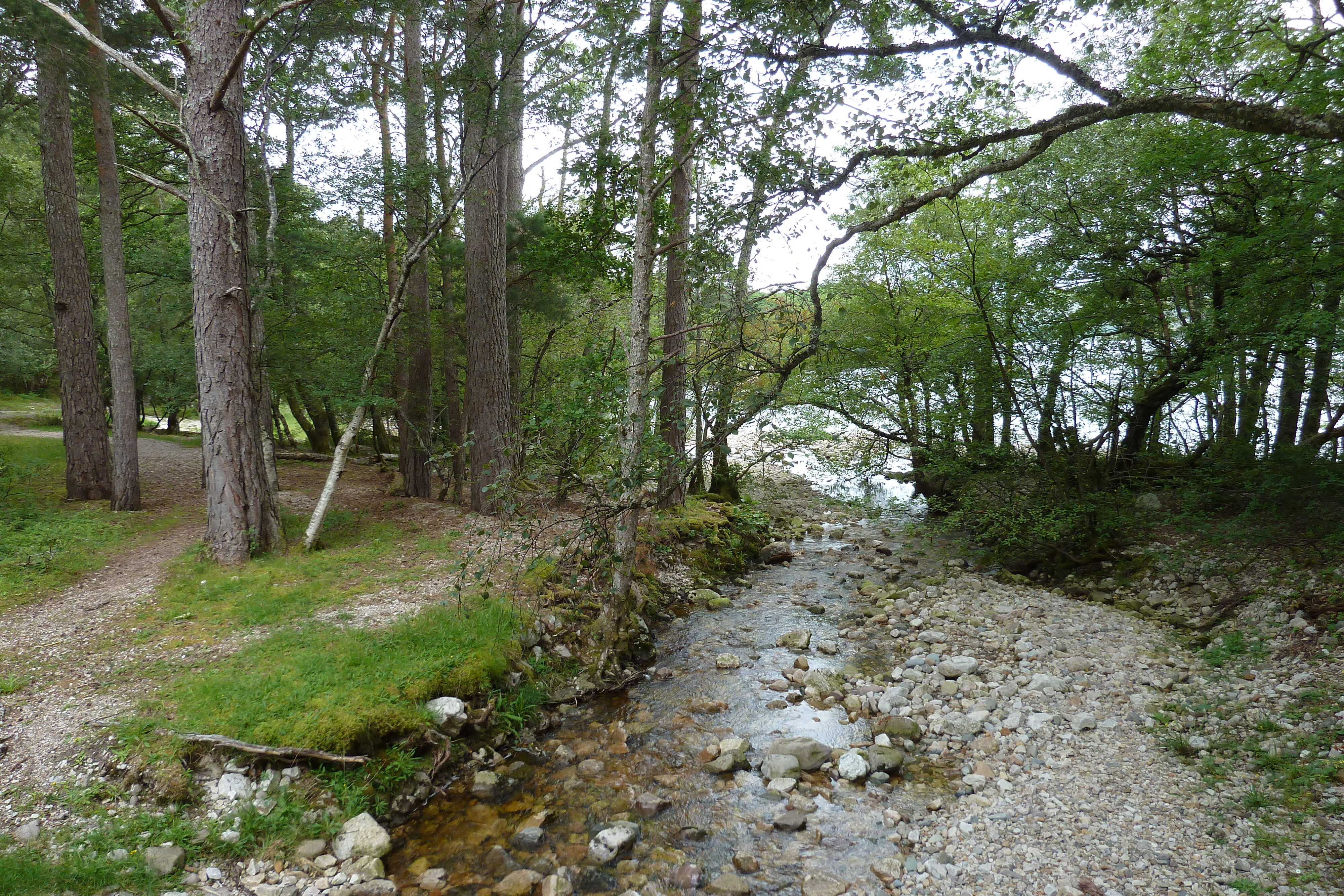 Picture United Kingdom Scotland Loch Maree 2011-07 29 - Recreation Loch Maree