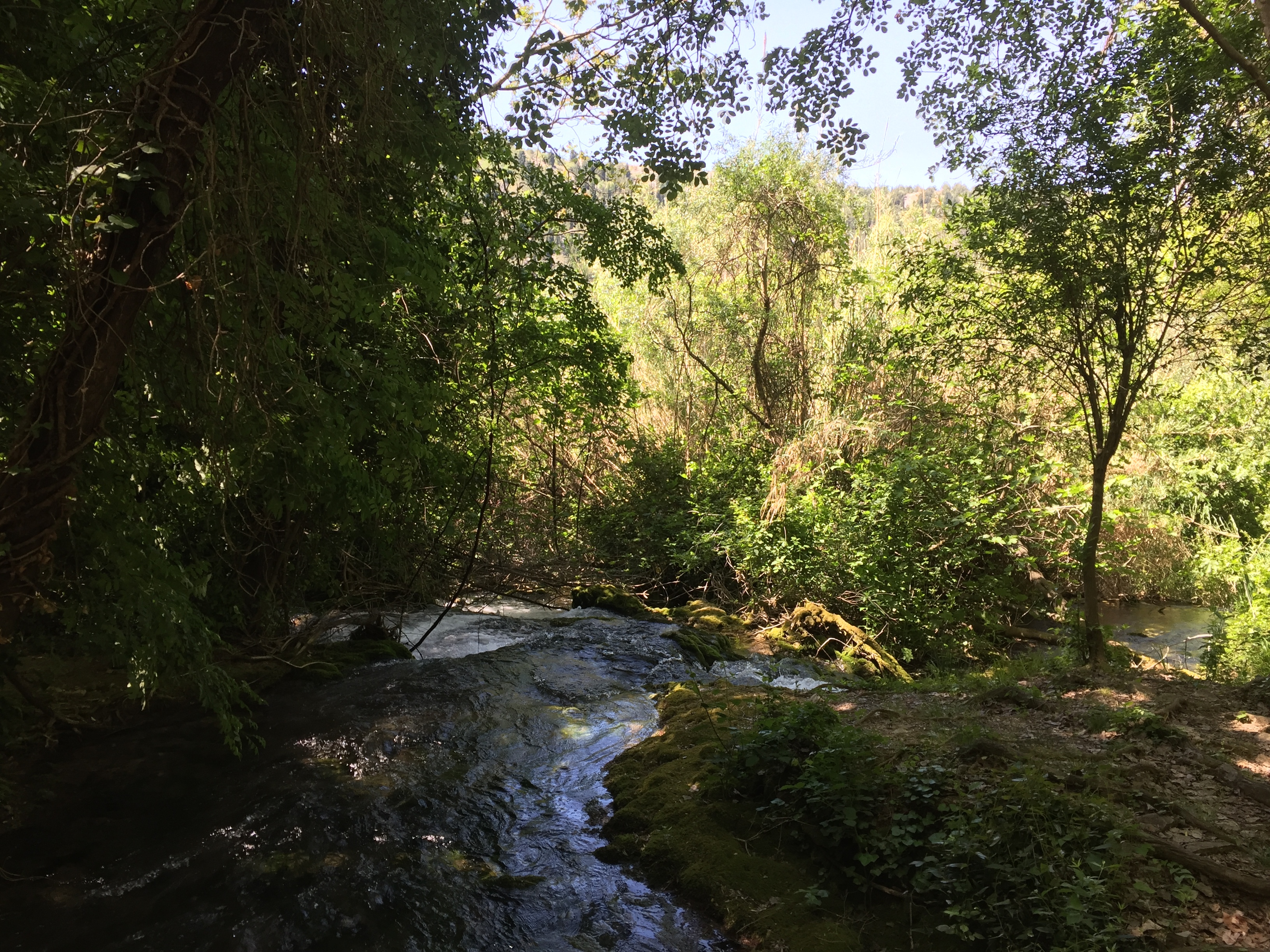 Picture Croatia Krka National Park 2016-04 94 - Journey Krka National Park