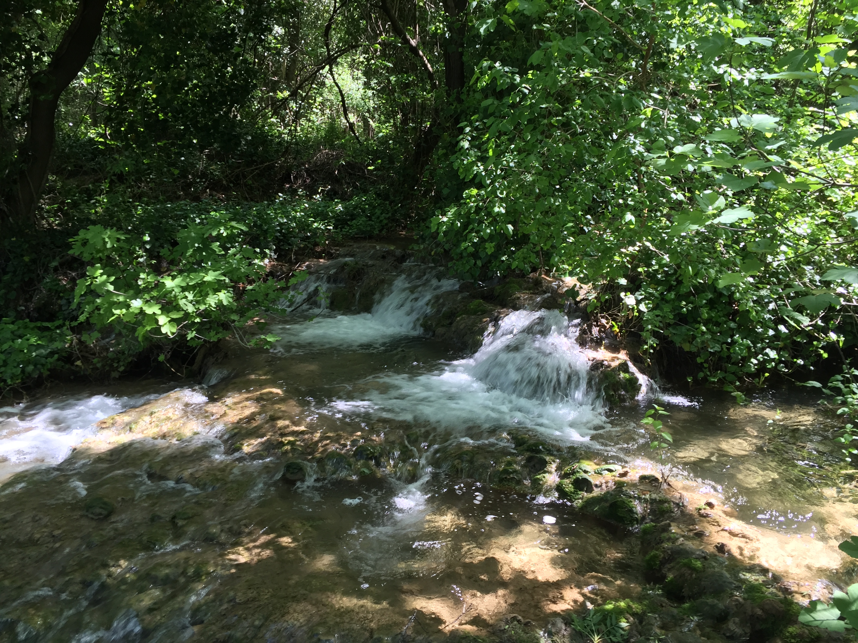 Picture Croatia Krka National Park 2016-04 105 - Discovery Krka National Park