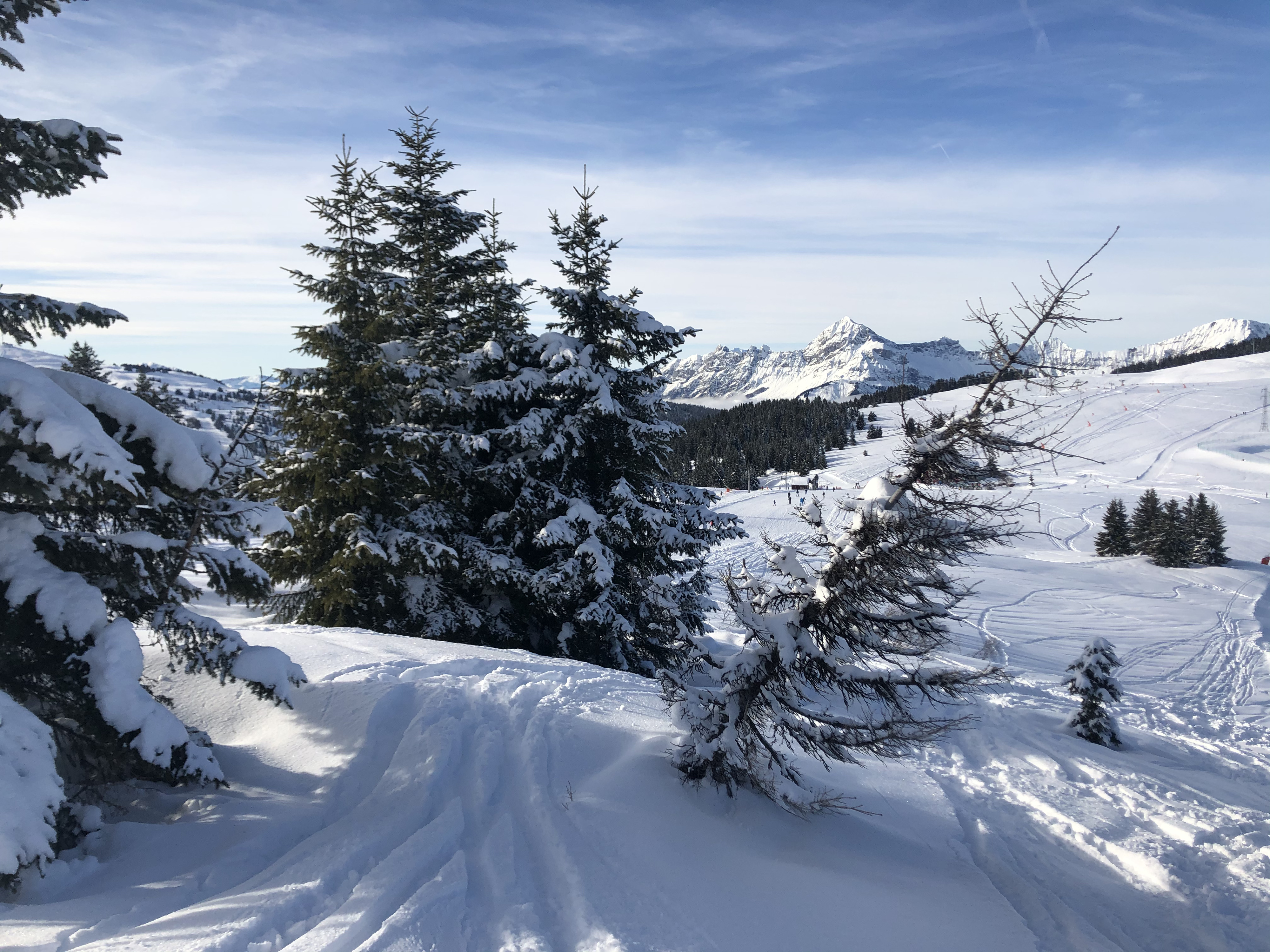 Picture France Praz sur Arly 2019-12 40 - Journey Praz sur Arly