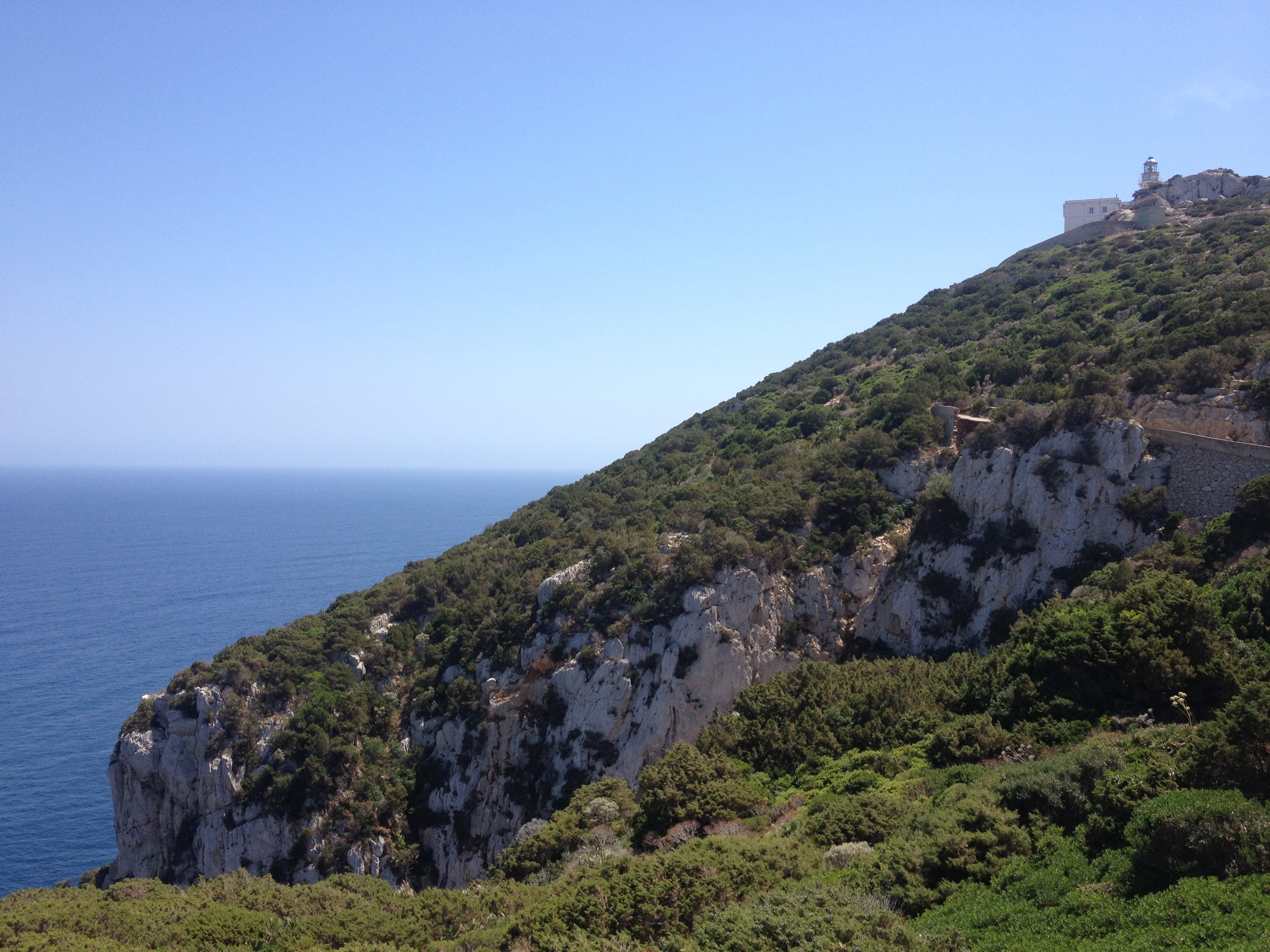 Picture Italy Sardinia Porto Conte Regional Natural Park 2015-06 47 - Around Porto Conte Regional Natural Park