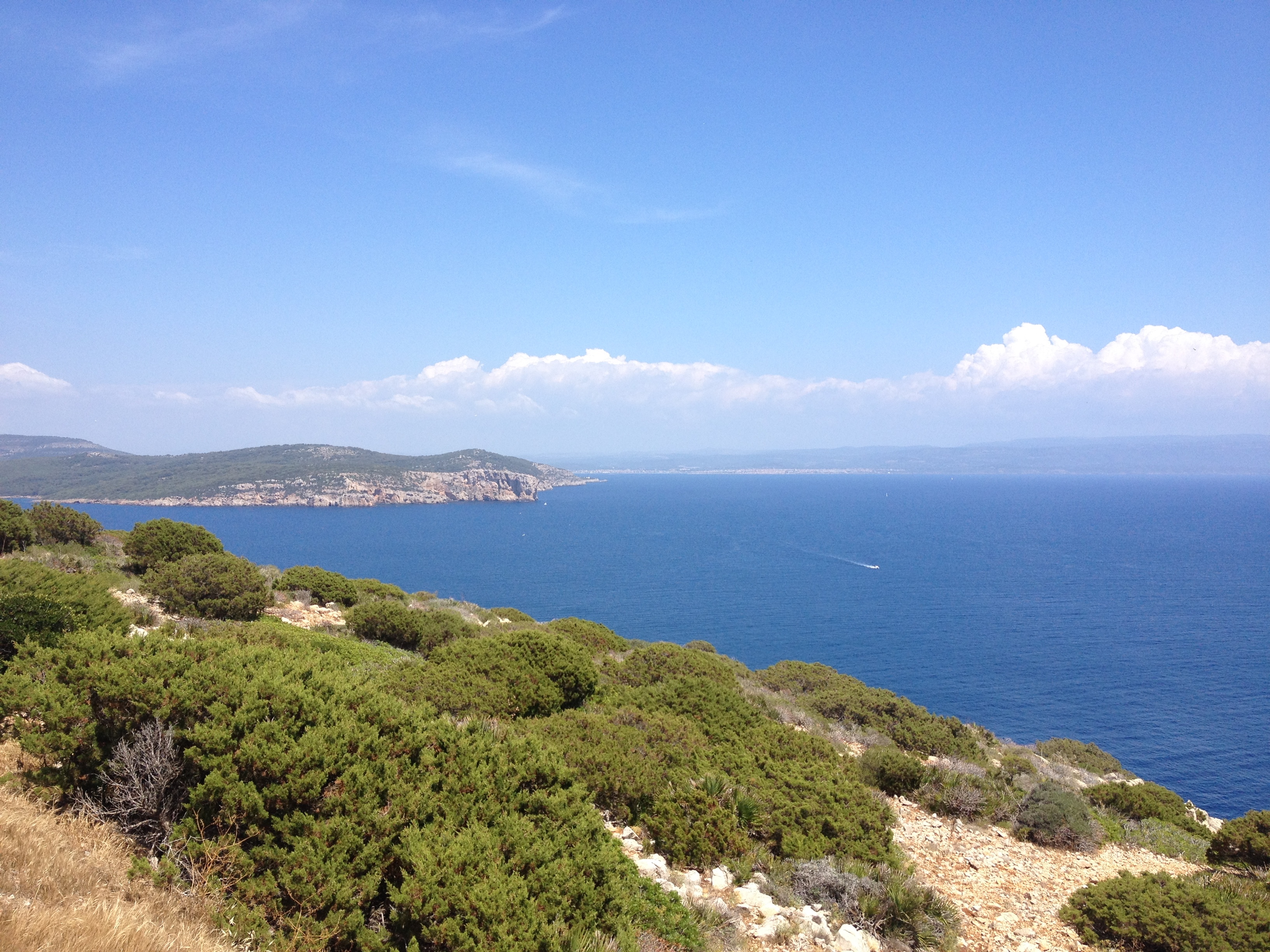 Picture Italy Sardinia Porto Conte Regional Natural Park 2015-06 15 - Around Porto Conte Regional Natural Park