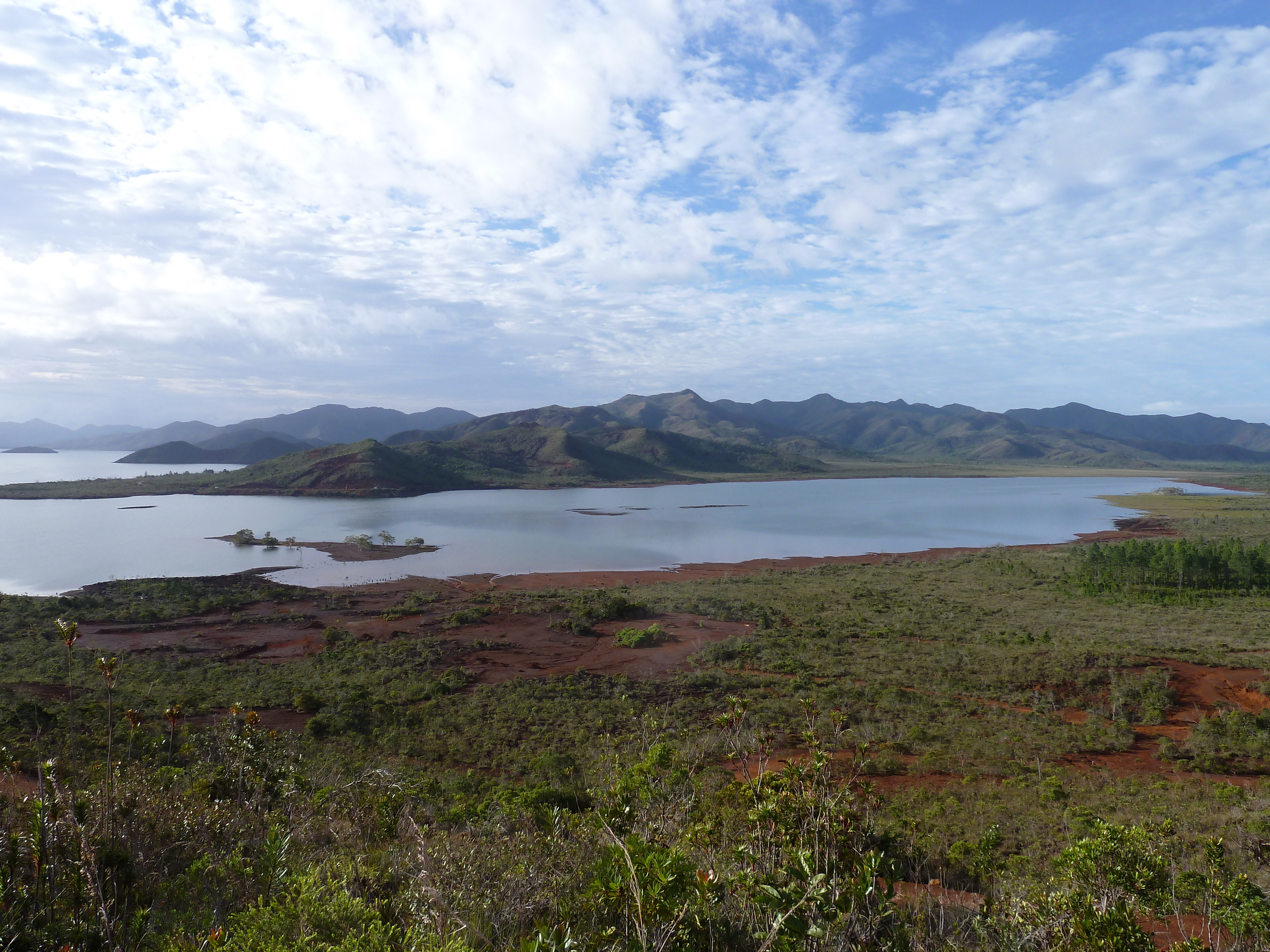 Picture New Caledonia Parc de la Riviere Bleue 2010-05 137 - Discovery Parc de la Riviere Bleue