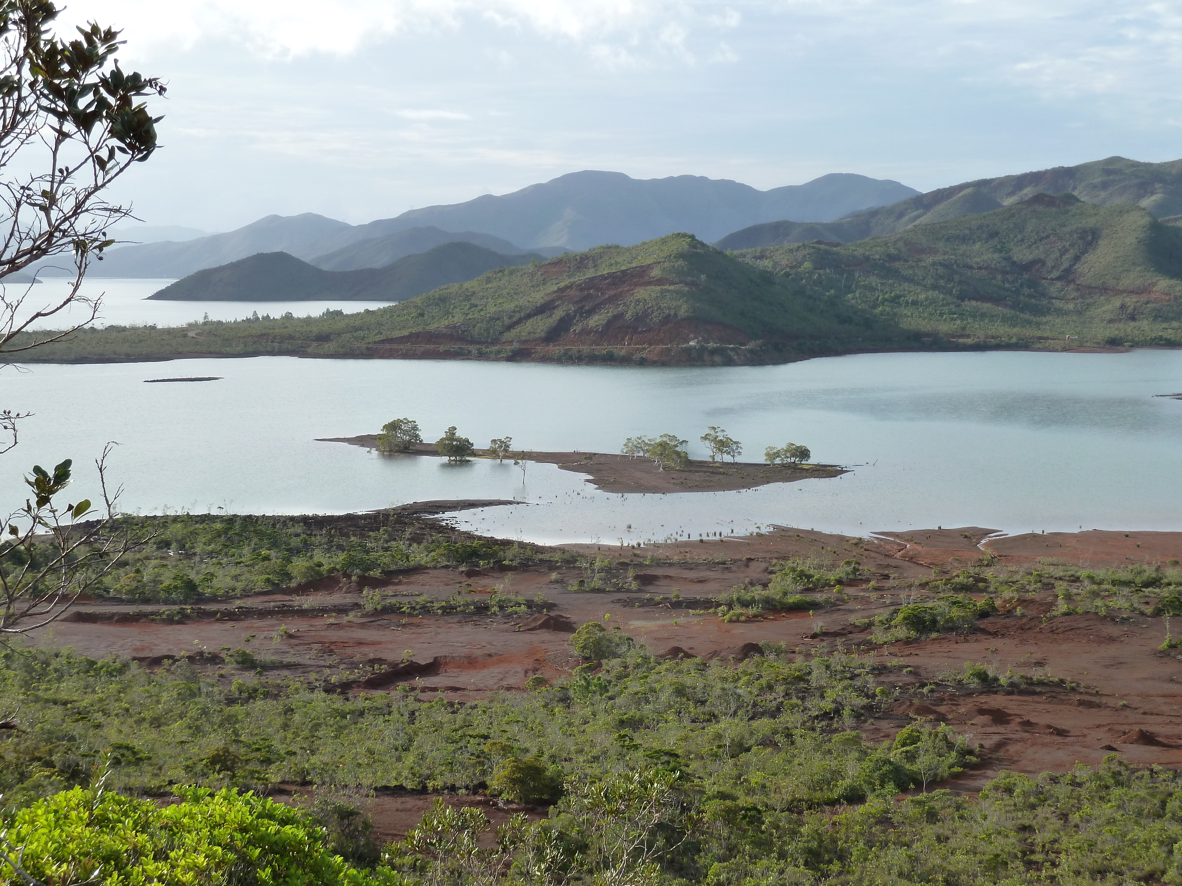 Picture New Caledonia Parc de la Riviere Bleue 2010-05 134 - Tour Parc de la Riviere Bleue