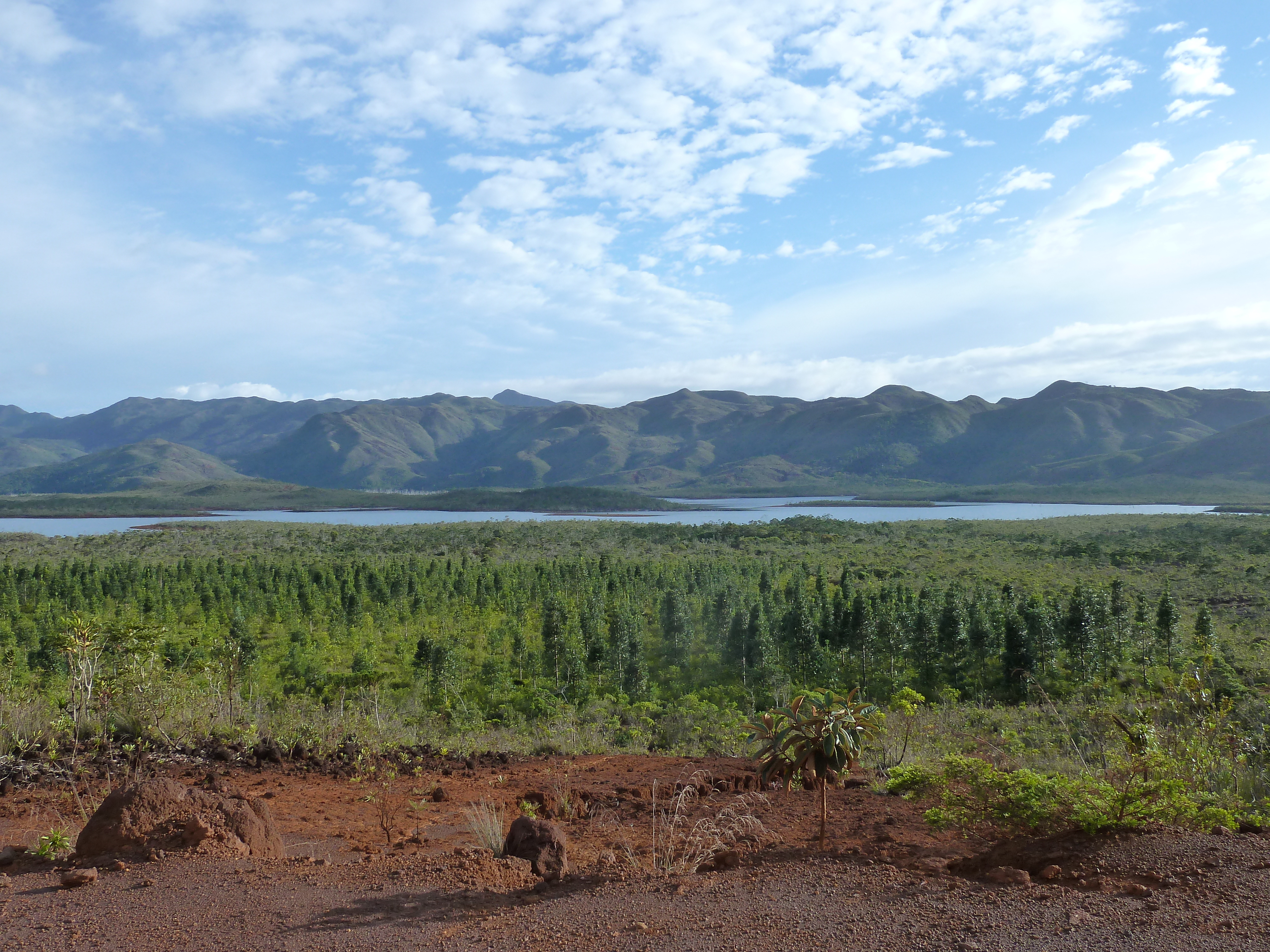 Picture New Caledonia Parc de la Riviere Bleue 2010-05 118 - Discovery Parc de la Riviere Bleue