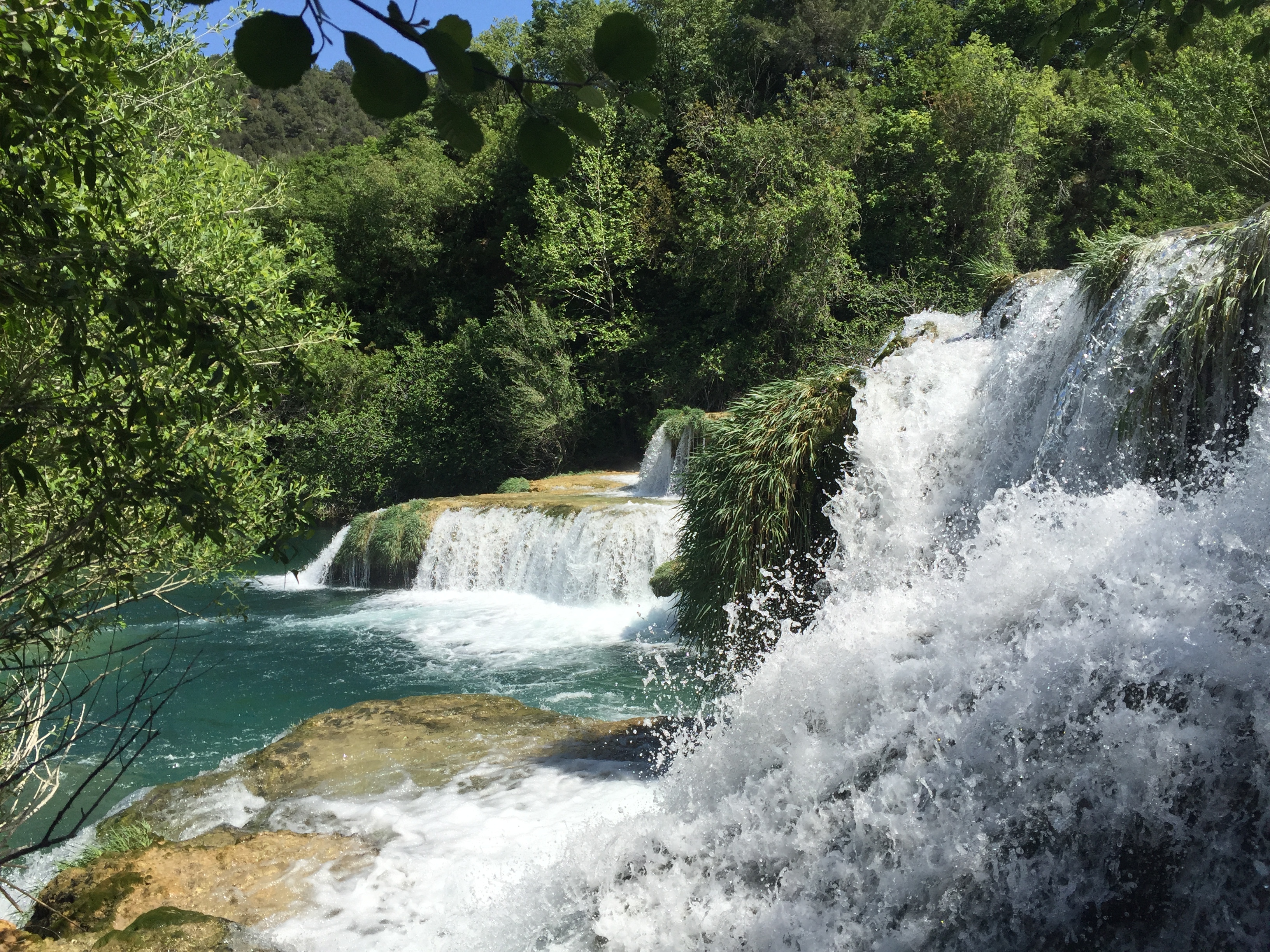 Picture Croatia Krka National Park 2016-04 40 - Discovery Krka National Park