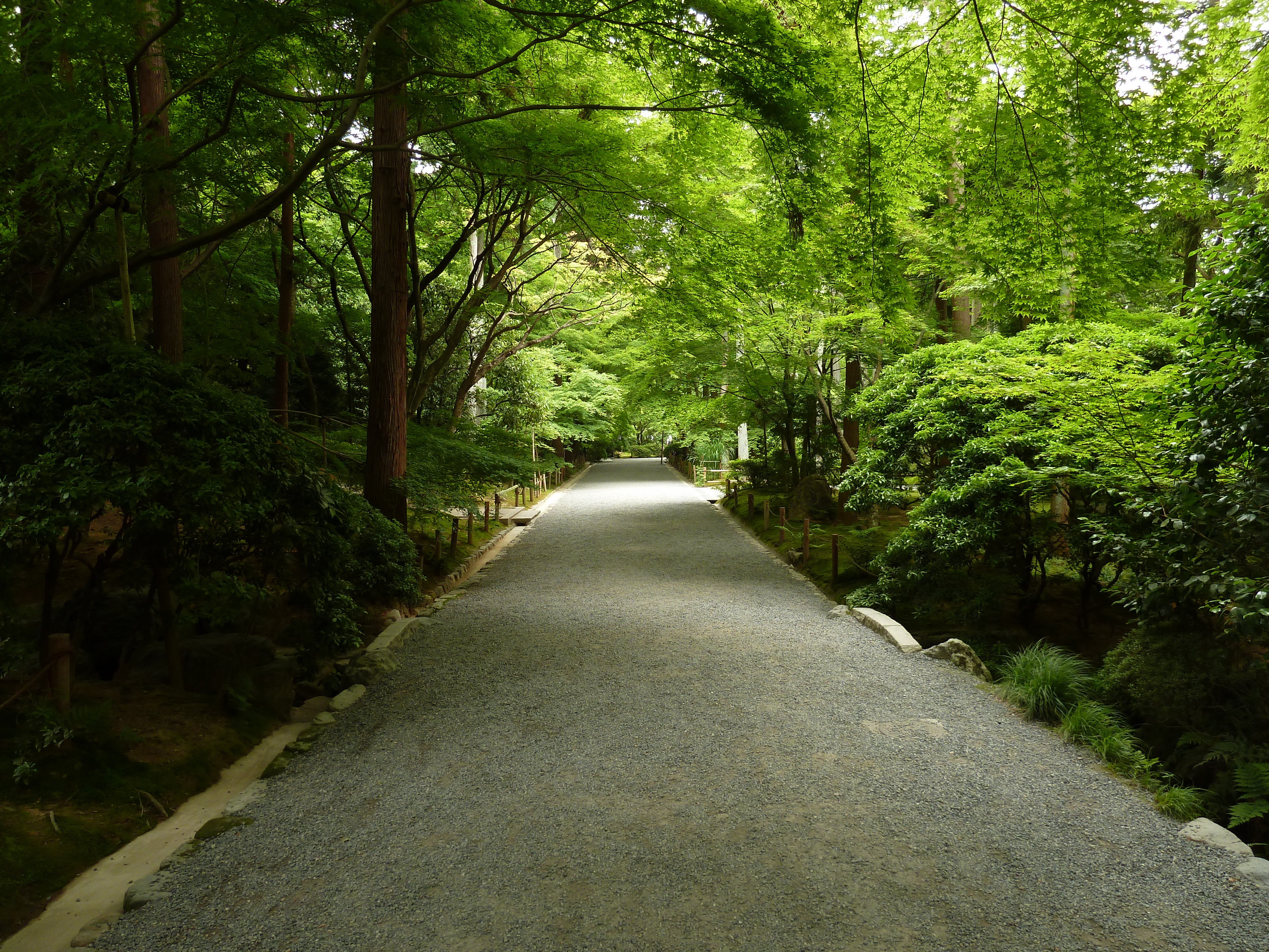 Picture Japan Kyoto Ryoanji Temple 2010-06 79 - History Ryoanji Temple