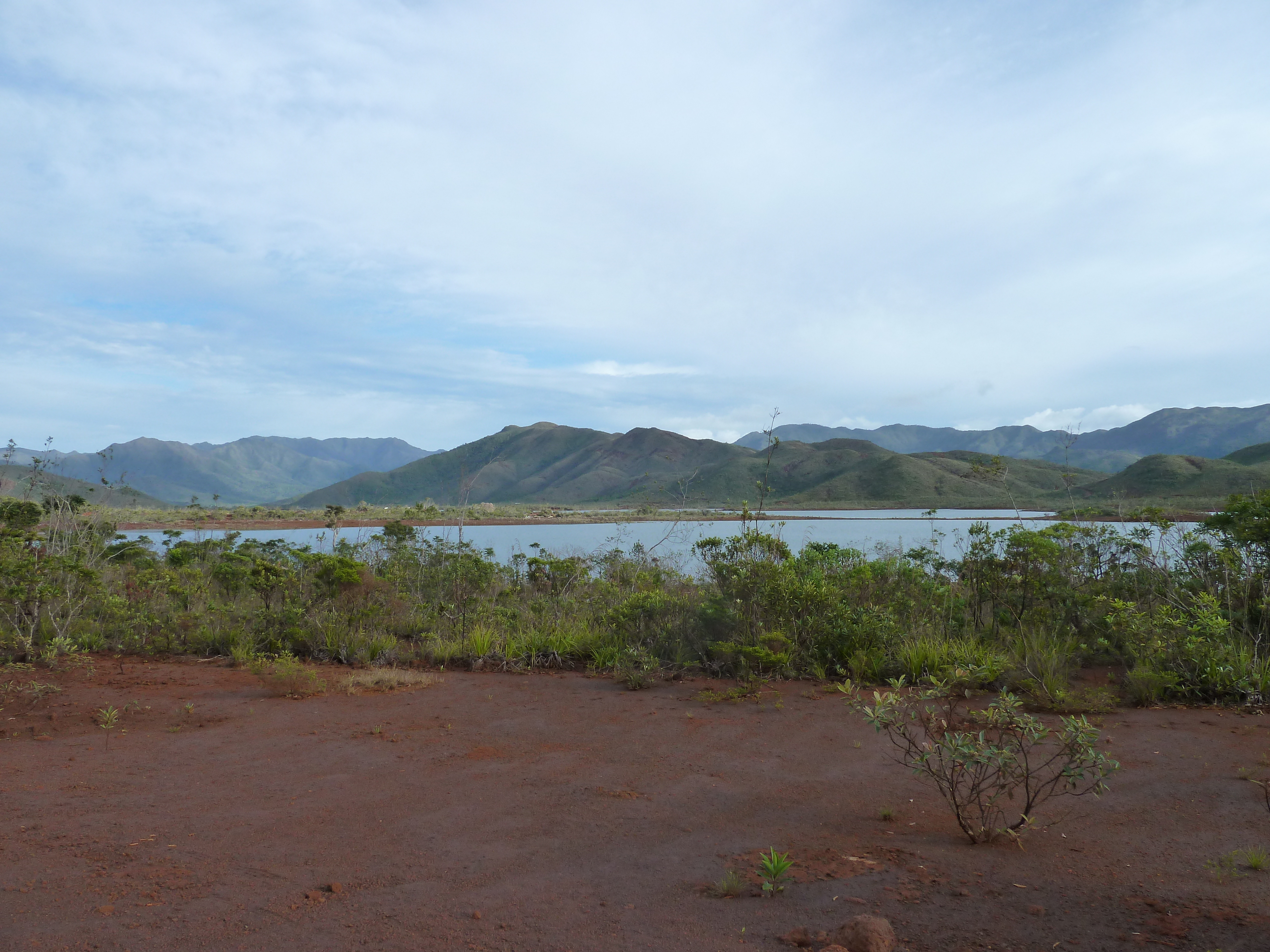 Picture New Caledonia Parc de la Riviere Bleue 2010-05 106 - Tours Parc de la Riviere Bleue