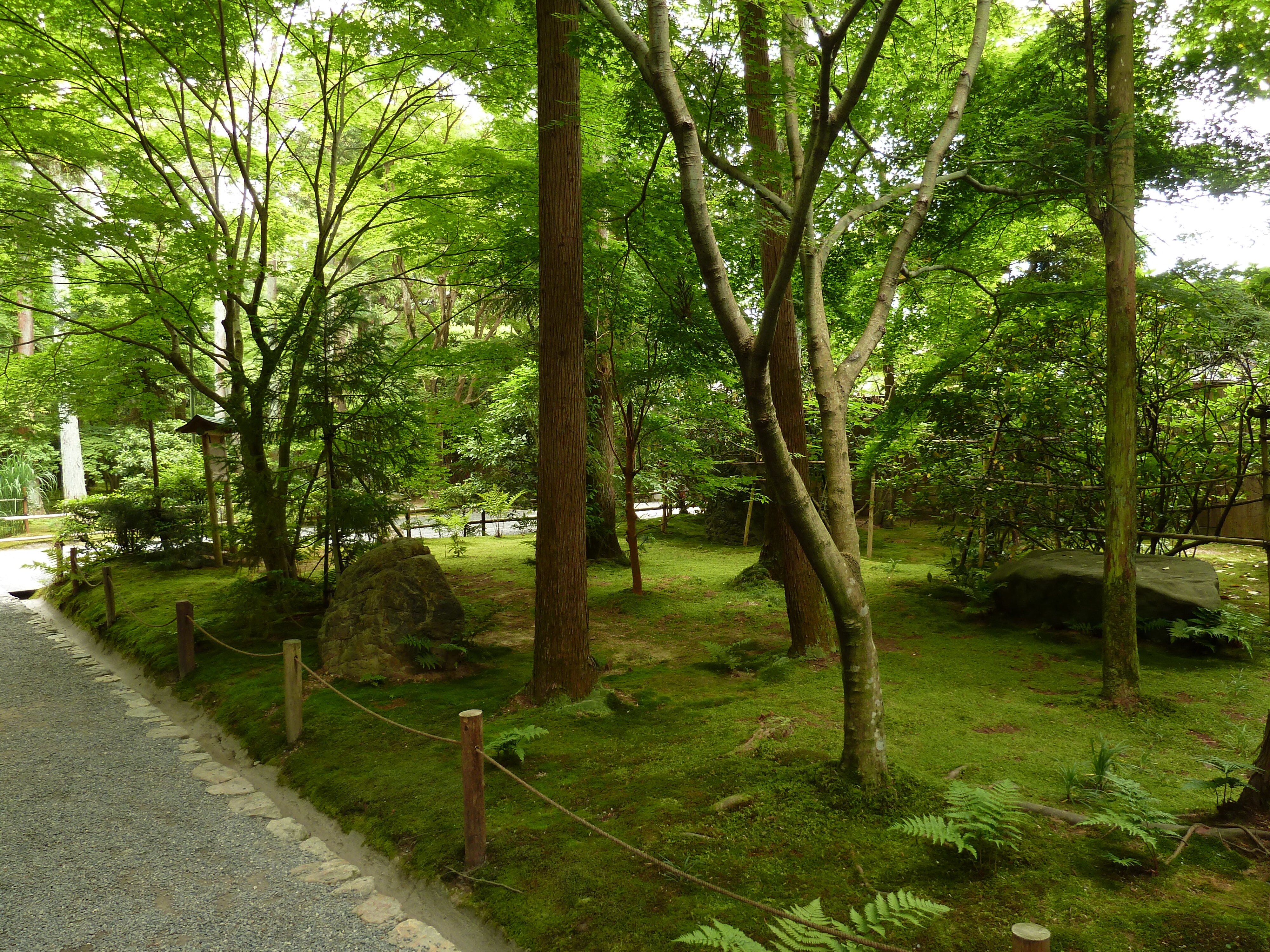 Picture Japan Kyoto Ryoanji Temple 2010-06 69 - Center Ryoanji Temple