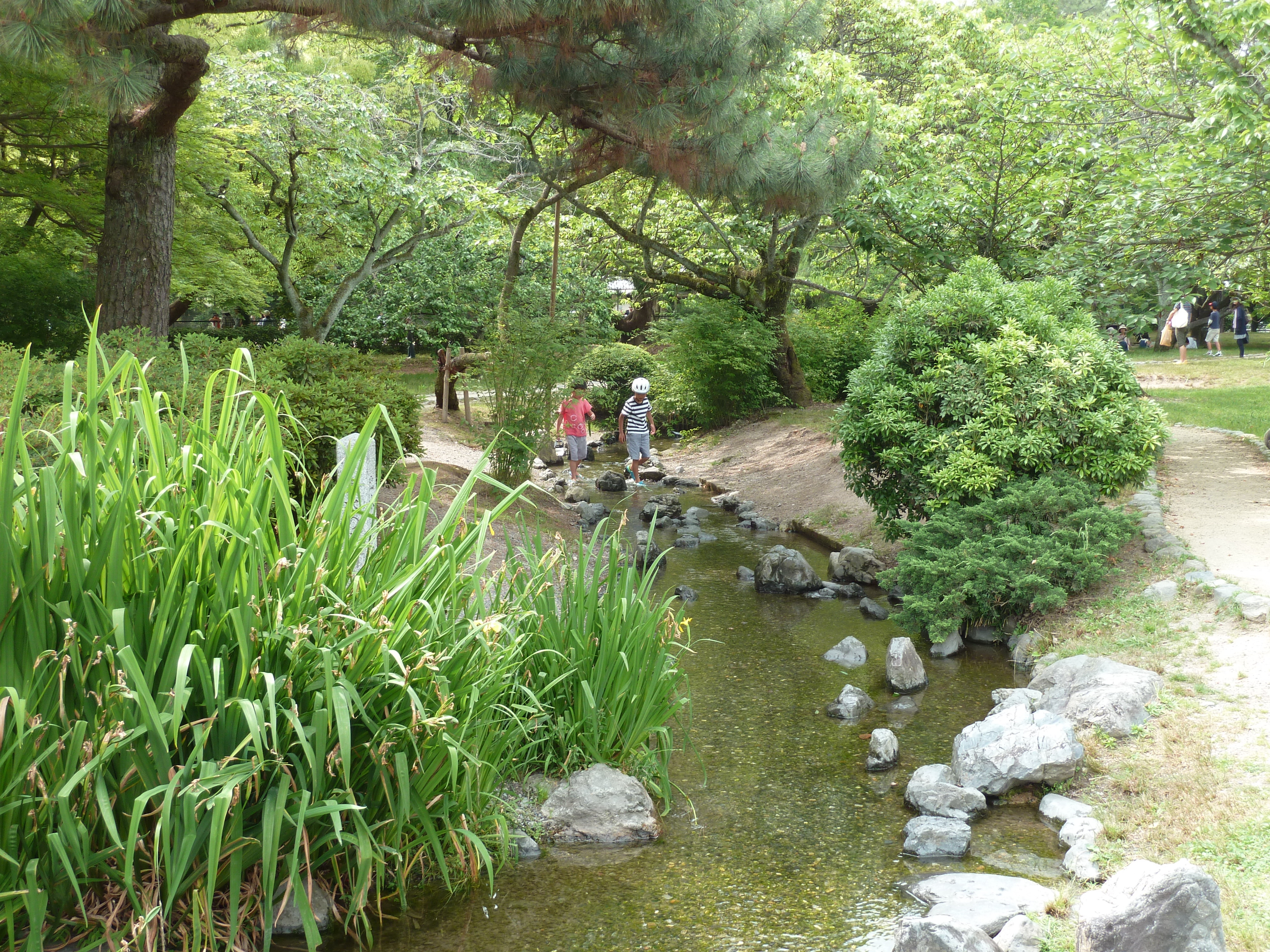 Picture Japan Kyoto Kyoto Gyoen Garden 2010-06 51 - Discovery Kyoto Gyoen Garden