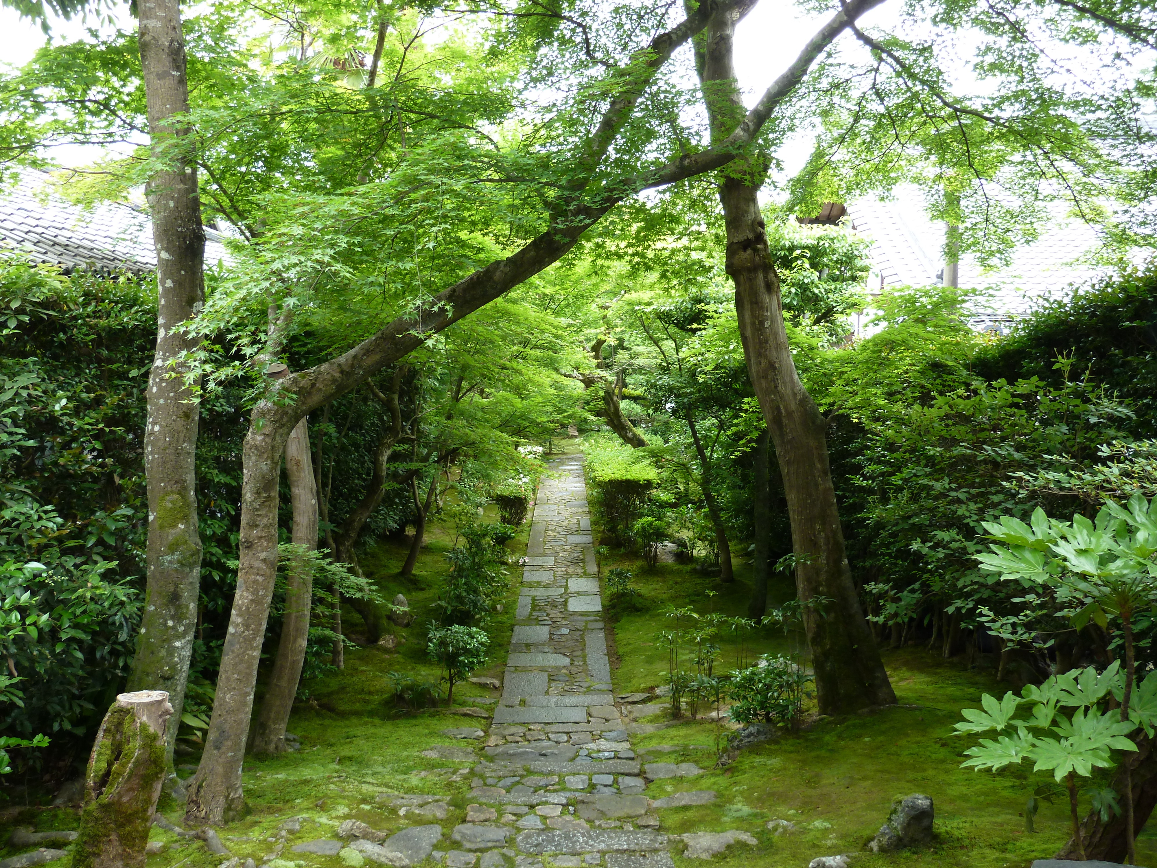 Picture Japan Kyoto Ryoanji Temple 2010-06 63 - Center Ryoanji Temple