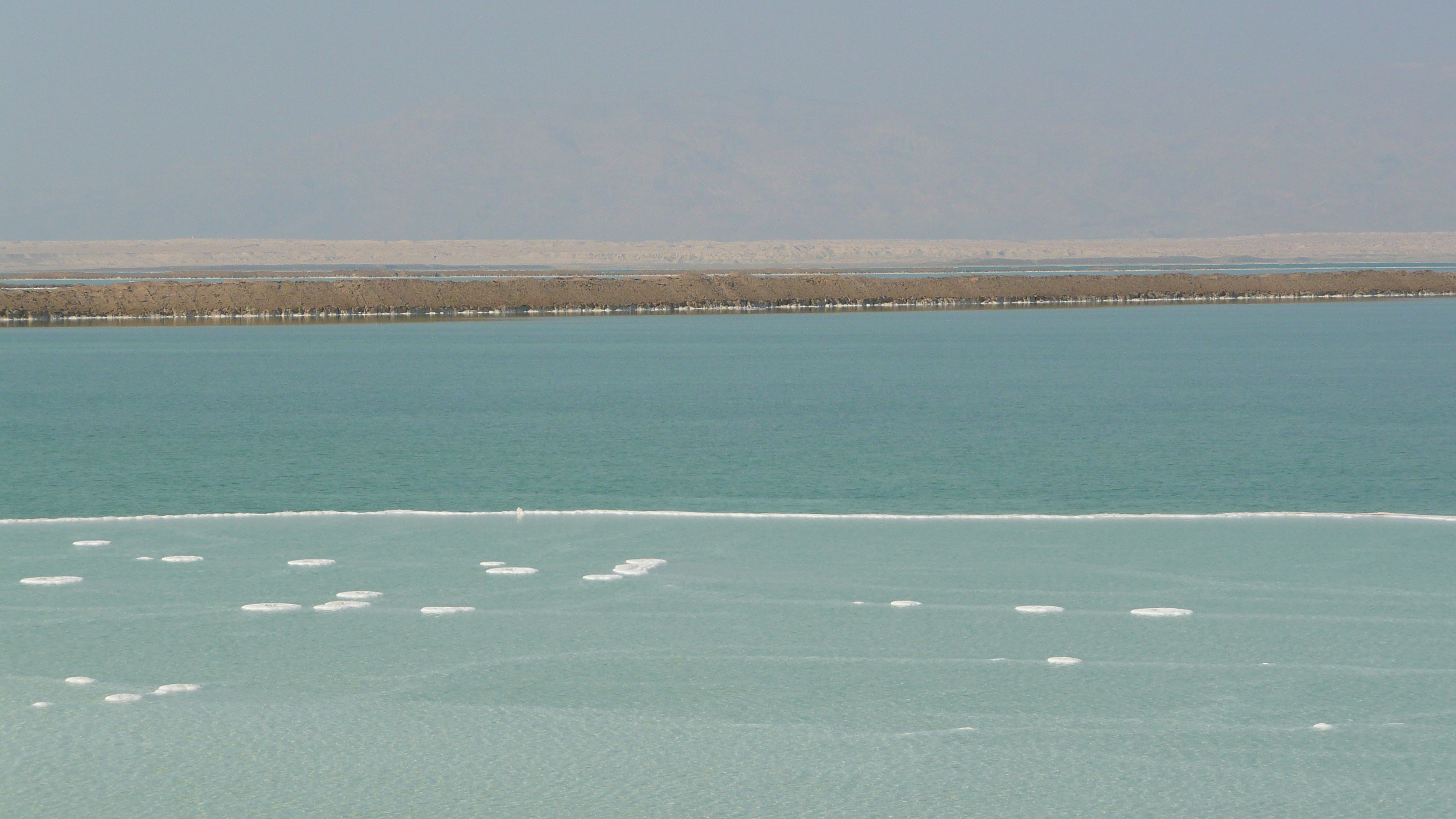 Picture Israel Boqeq 2007-06 2 - Discovery Boqeq