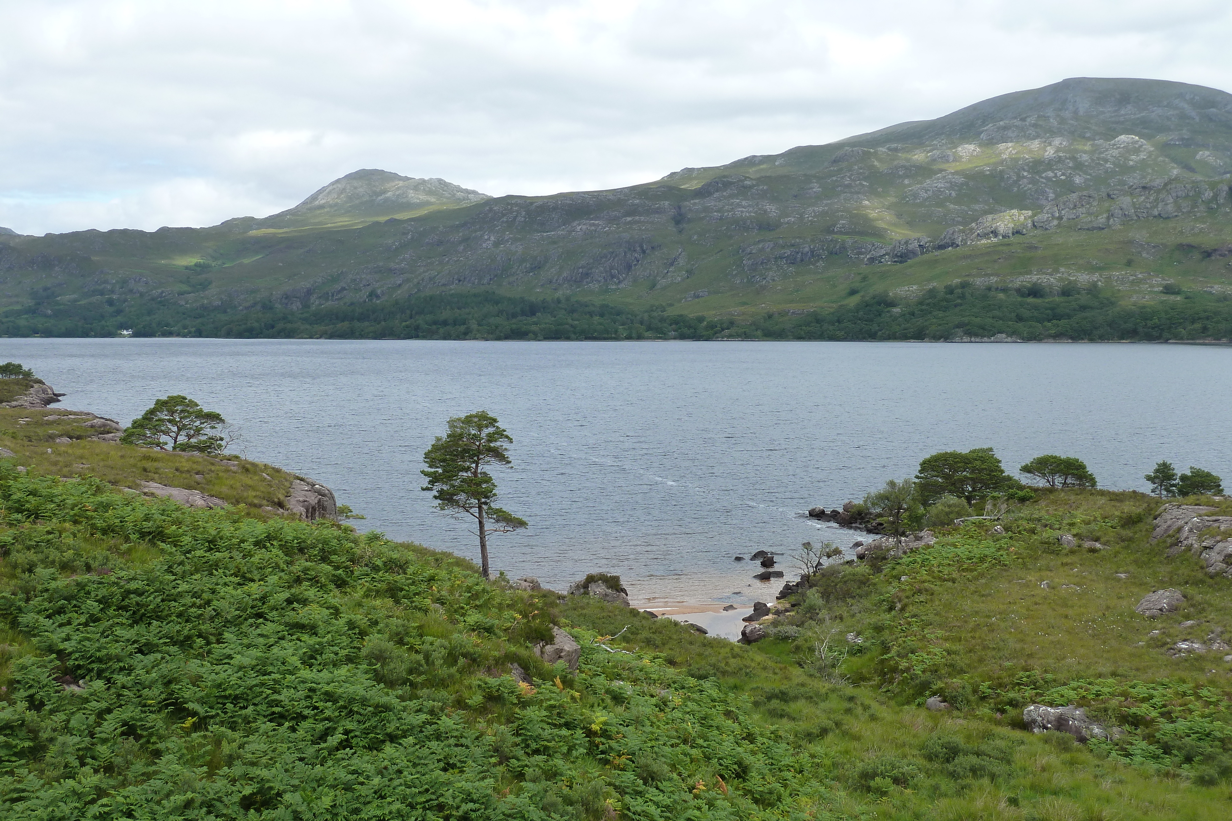 Picture United Kingdom Scotland Loch Maree 2011-07 6 - Tours Loch Maree