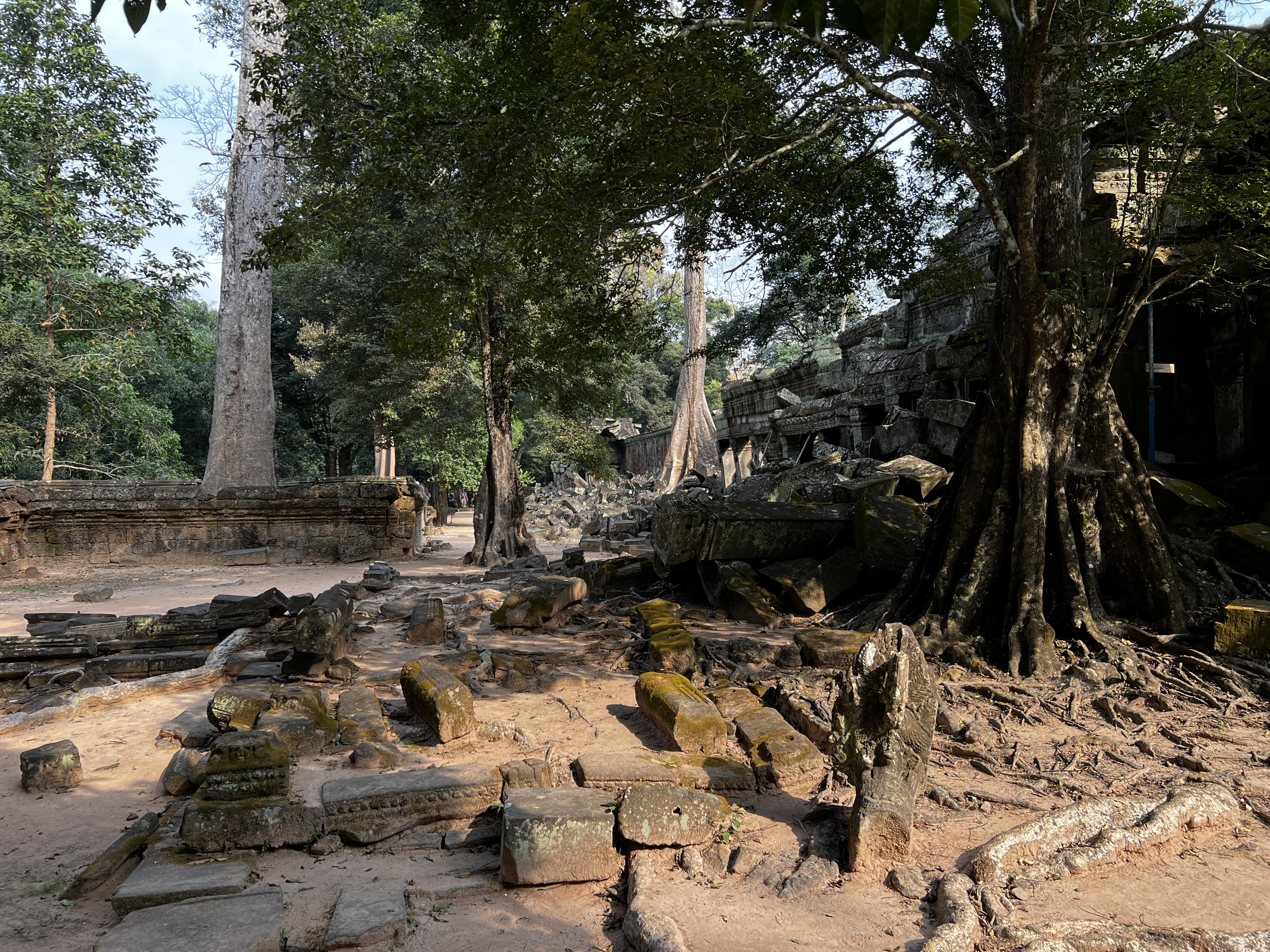 Picture Cambodia Siem Reap Ta Prohm 2023-01 122 - Center Ta Prohm