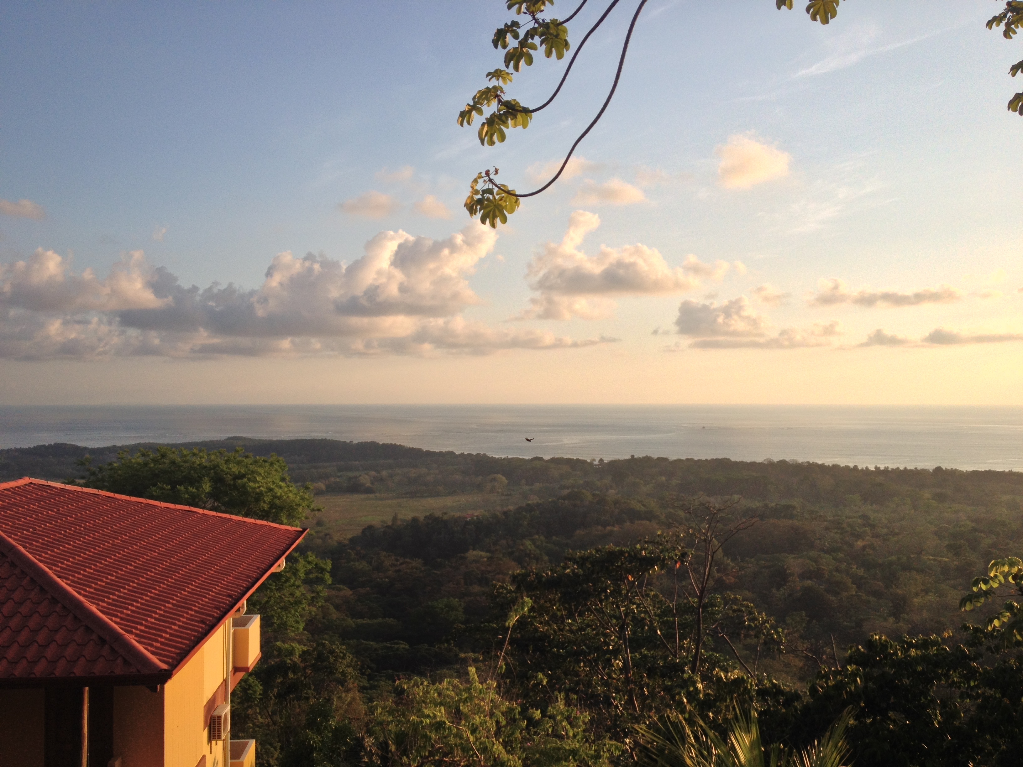 Picture Costa Rica Uvita 2015-03 5 - Center Uvita