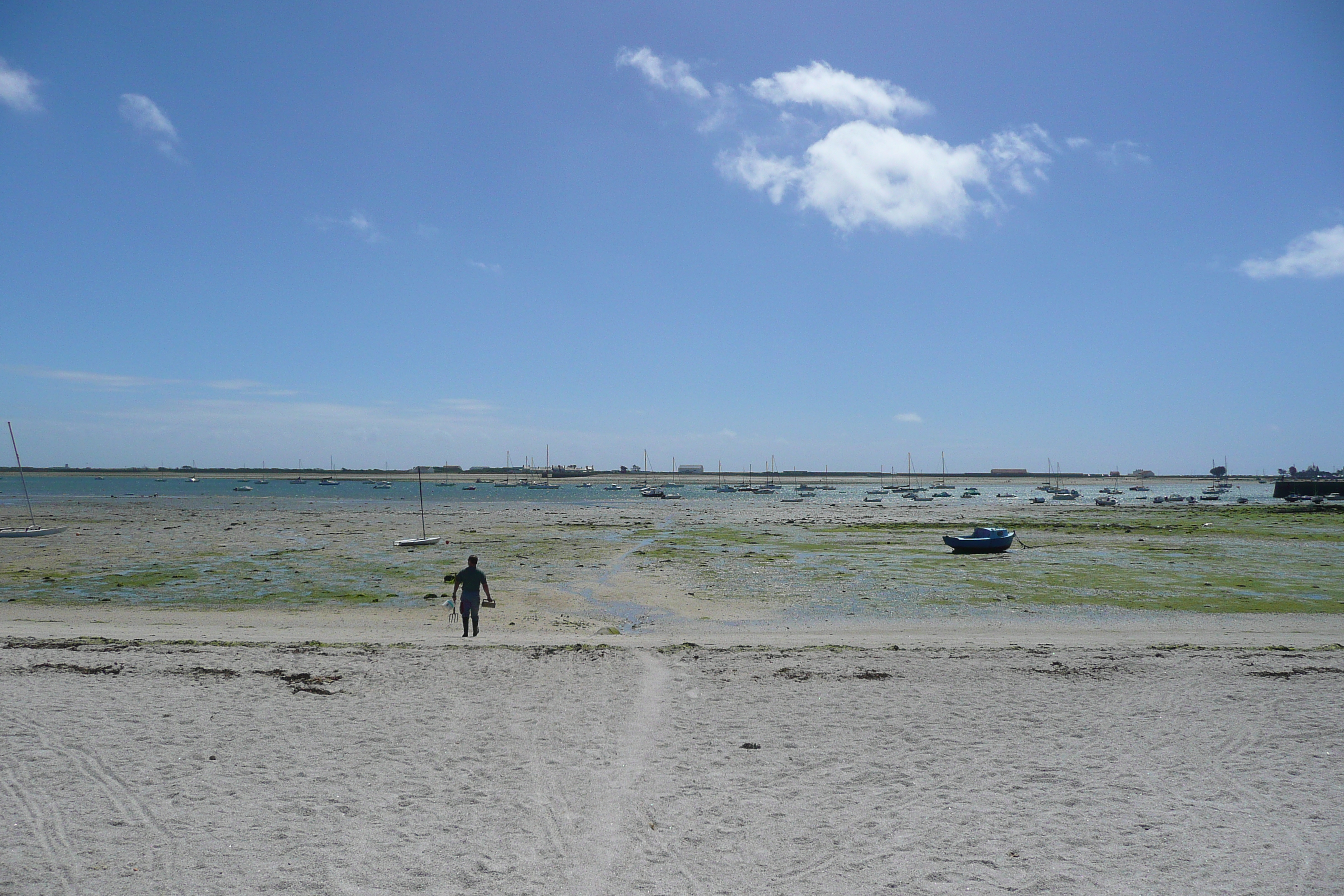 Picture France Gavres peninsula 2008-07 9 - Tours Gavres peninsula