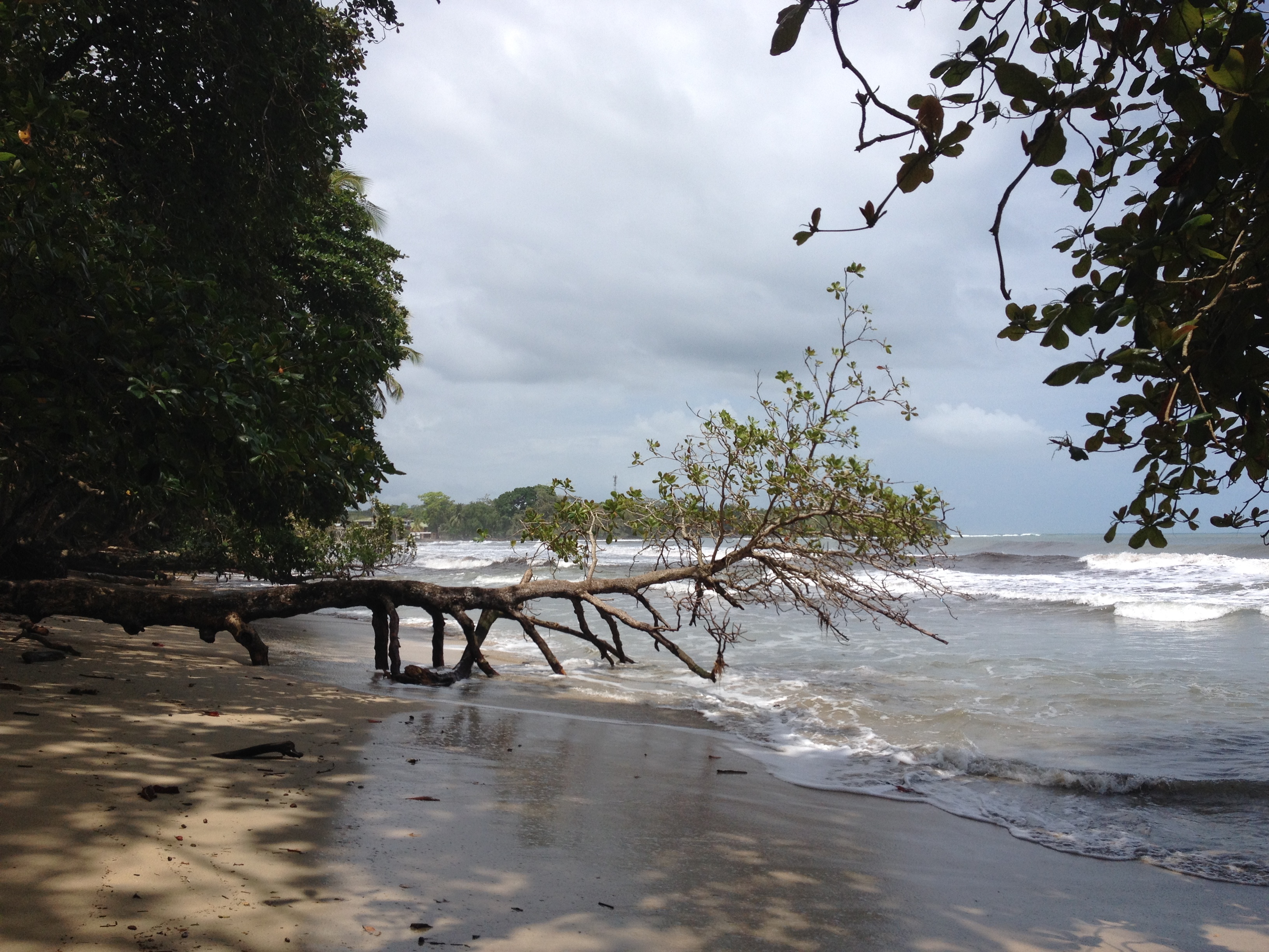 Picture Costa Rica Cahuita 2015-03 116 - Recreation Cahuita