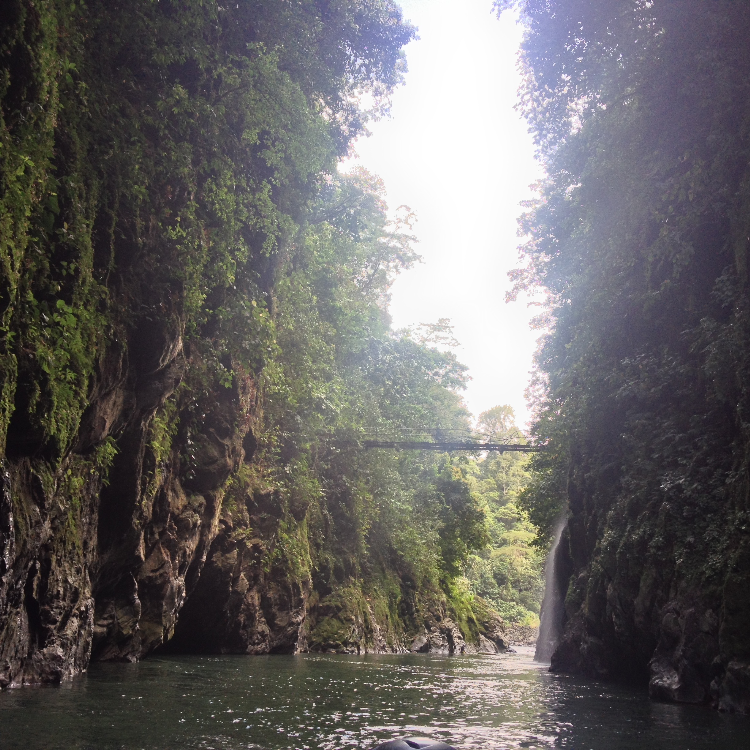 Picture Costa Rica Pacuare River 2015-03 171 - Tour Pacuare River