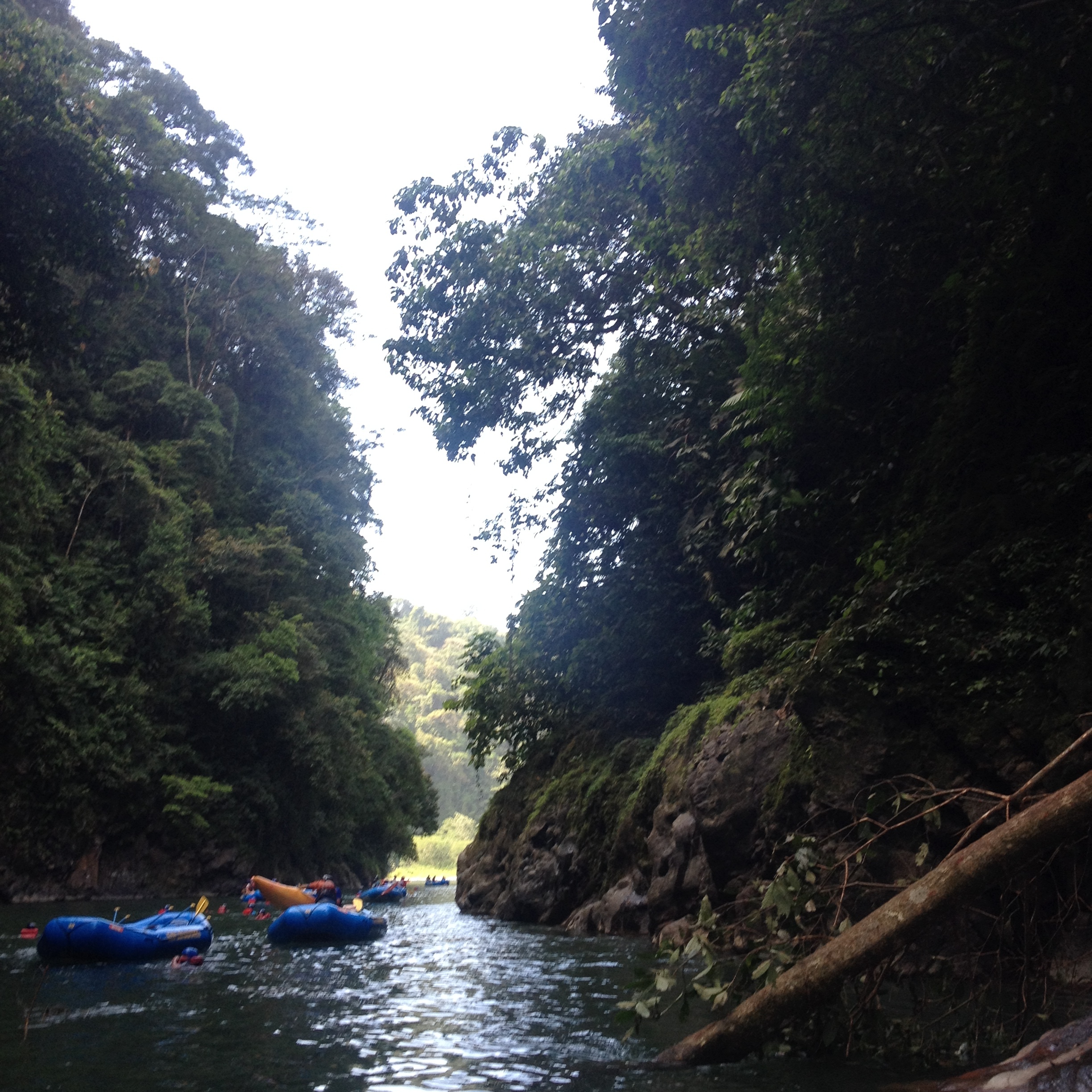 Picture Costa Rica Pacuare River 2015-03 205 - Tours Pacuare River