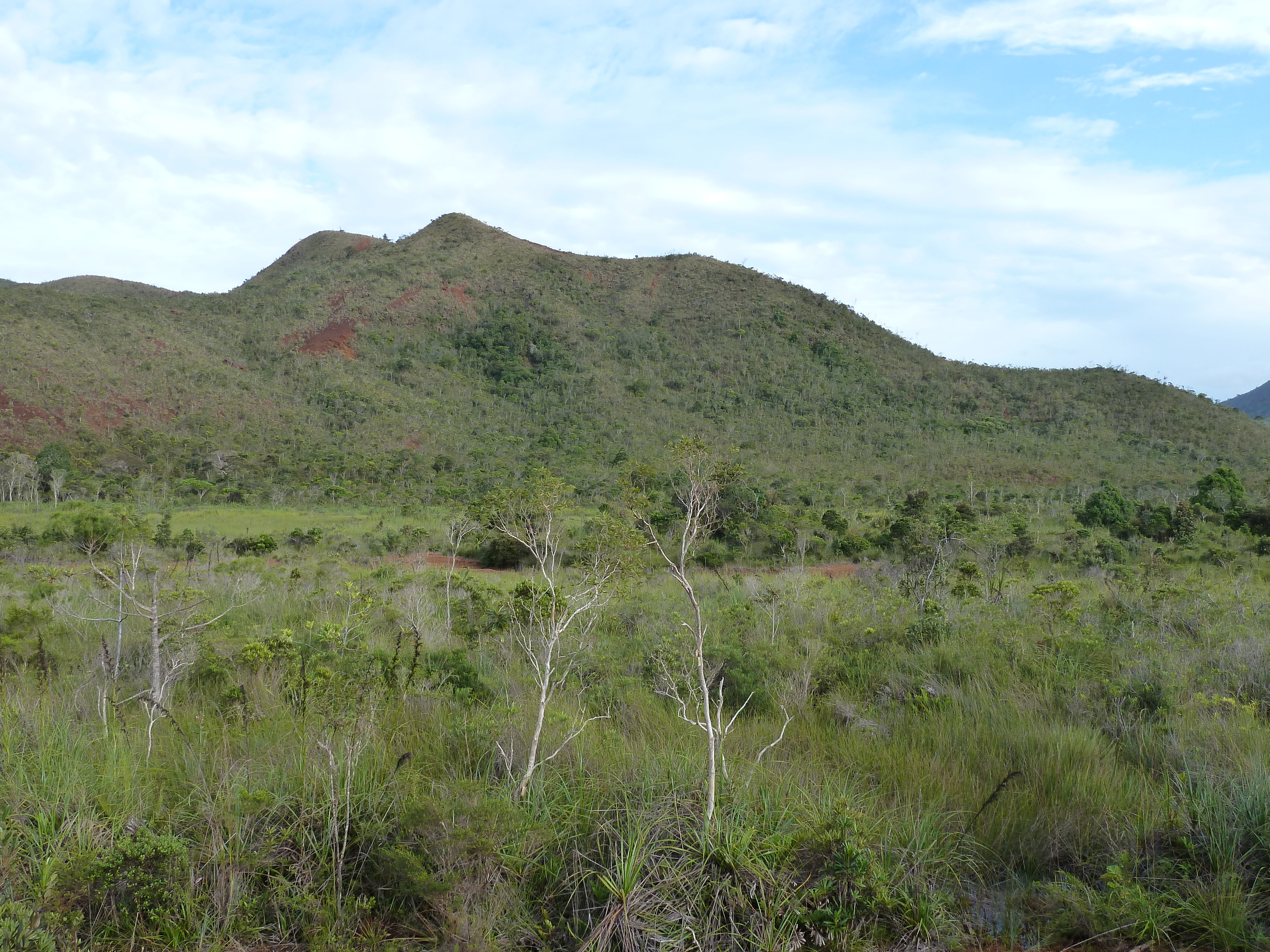 Picture New Caledonia Parc de la Riviere Bleue 2010-05 32 - History Parc de la Riviere Bleue