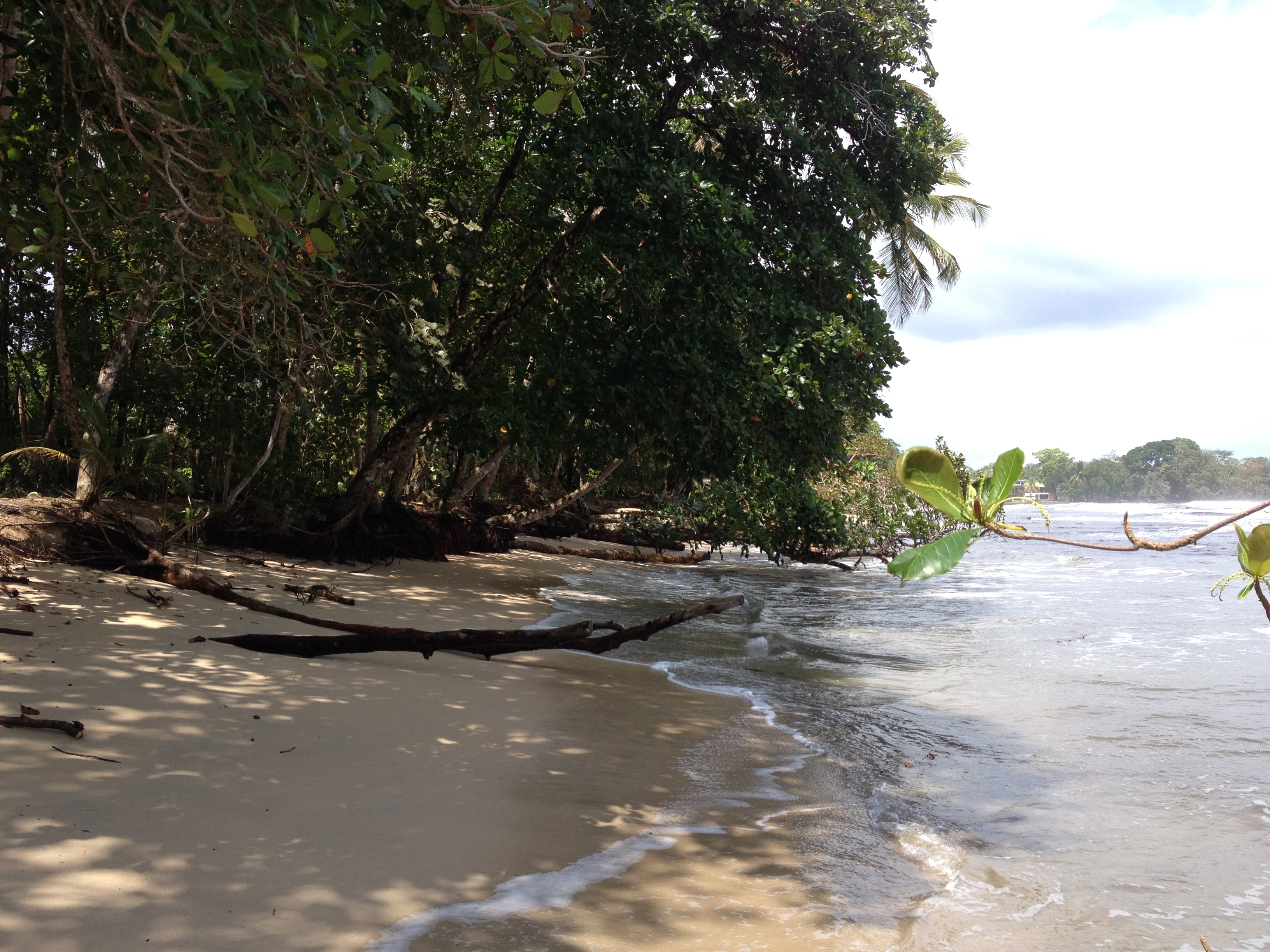 Picture Costa Rica Cahuita 2015-03 117 - History Cahuita