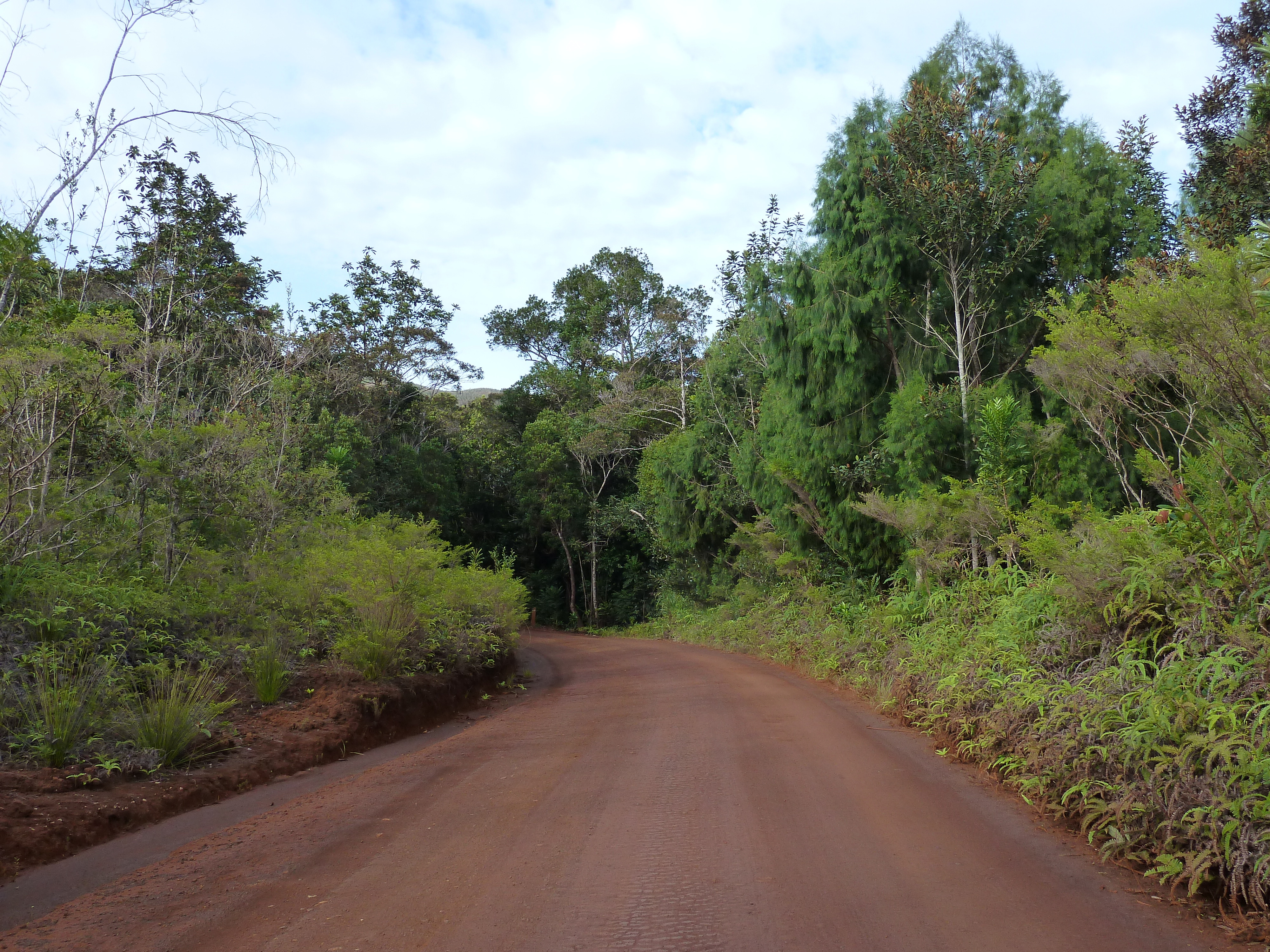 Picture New Caledonia Parc de la Riviere Bleue 2010-05 56 - Journey Parc de la Riviere Bleue