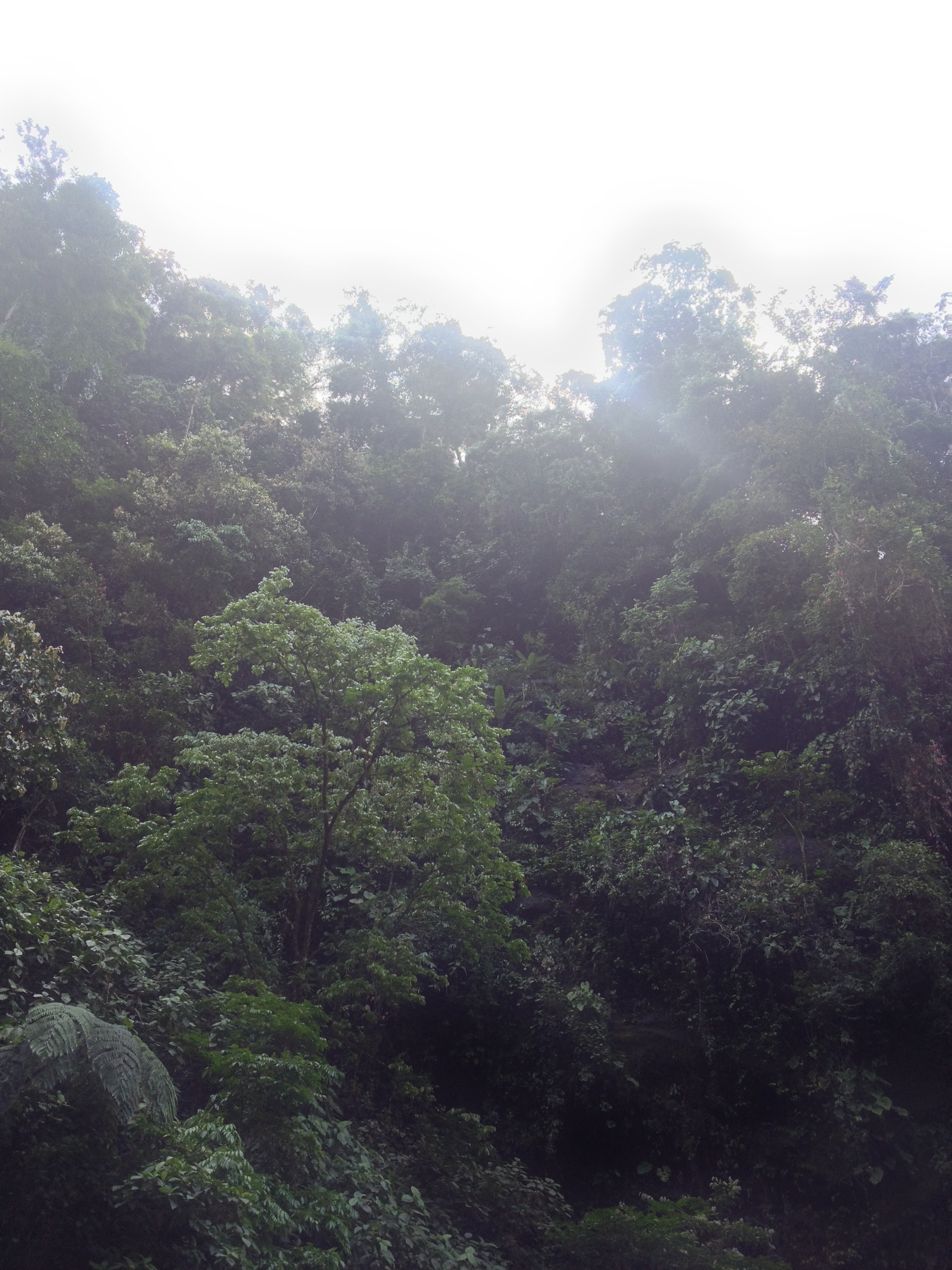 Picture Costa Rica Pacuare River 2015-03 153 - Center Pacuare River