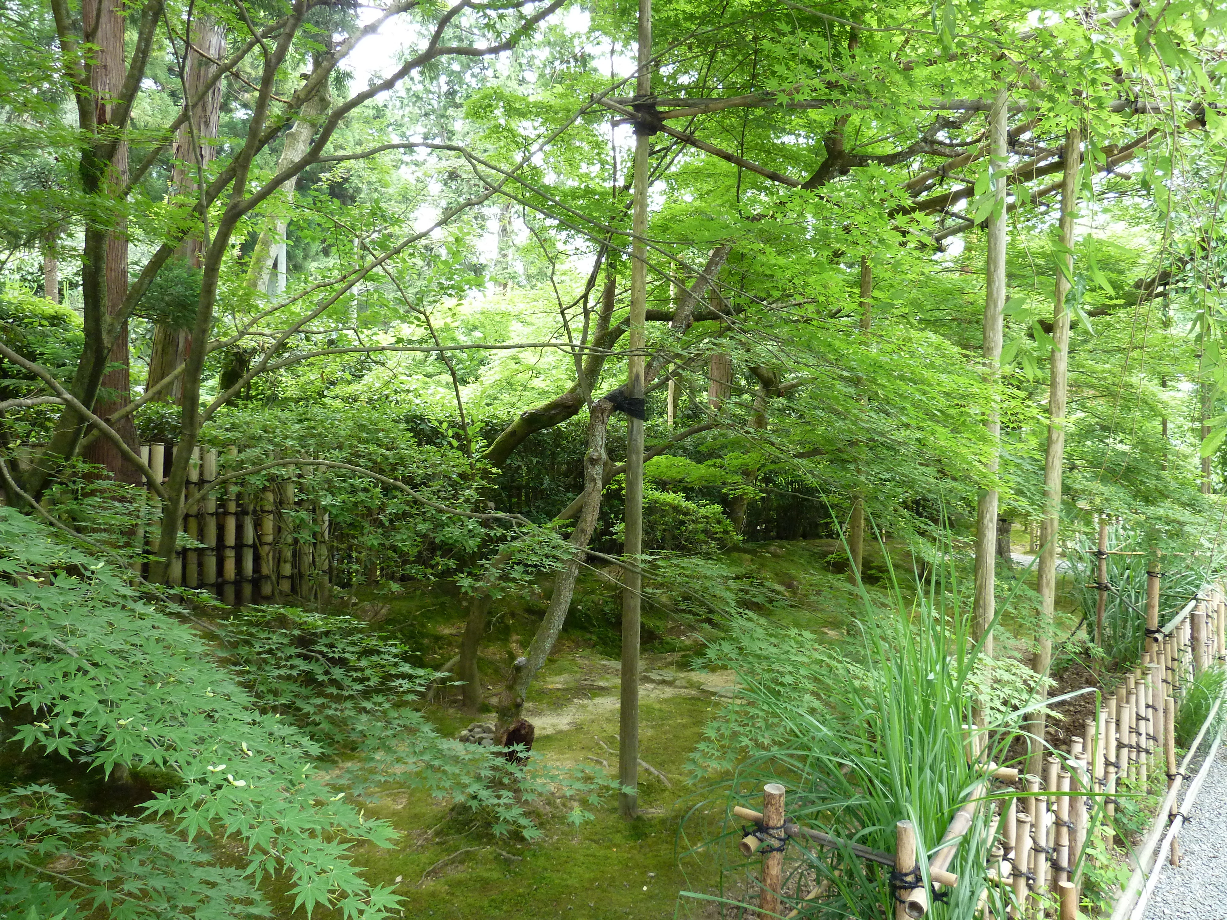 Picture Japan Kyoto Ryoanji Temple 2010-06 64 - Journey Ryoanji Temple