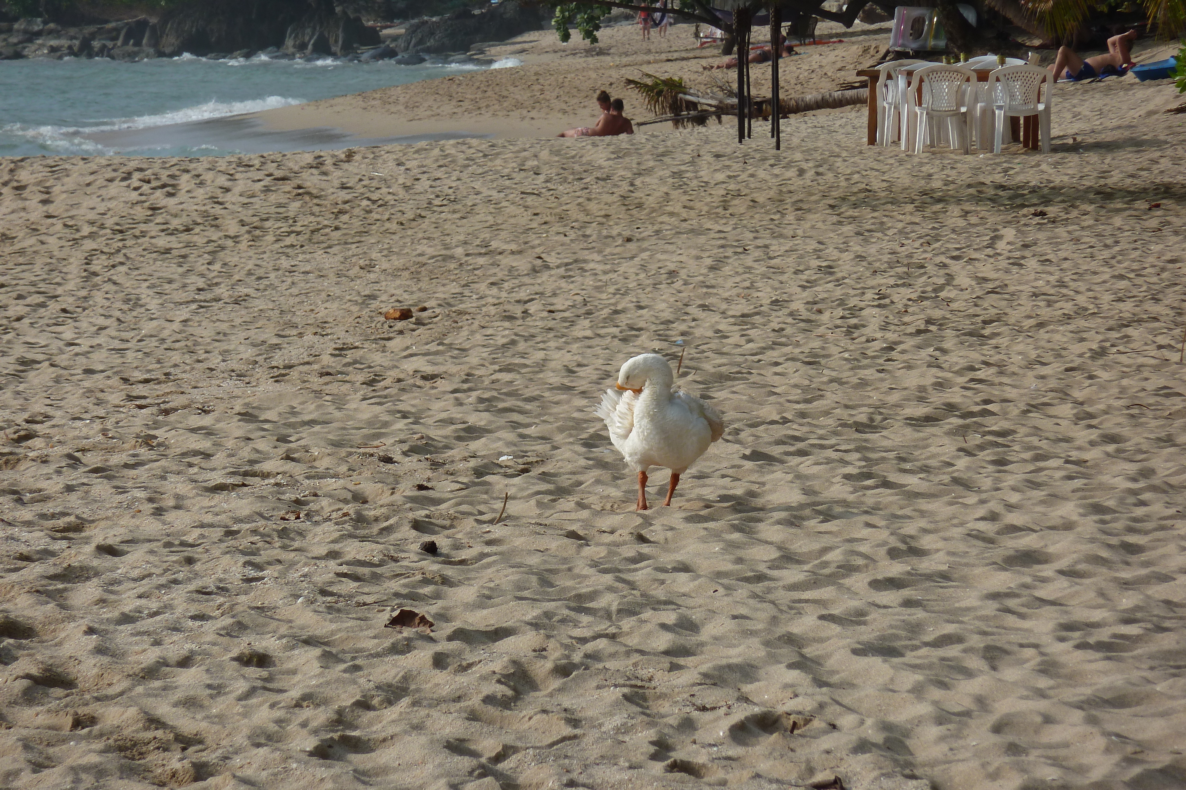 Picture Thailand Ko Chang White sand beach 2011-02 3 - Journey White sand beach