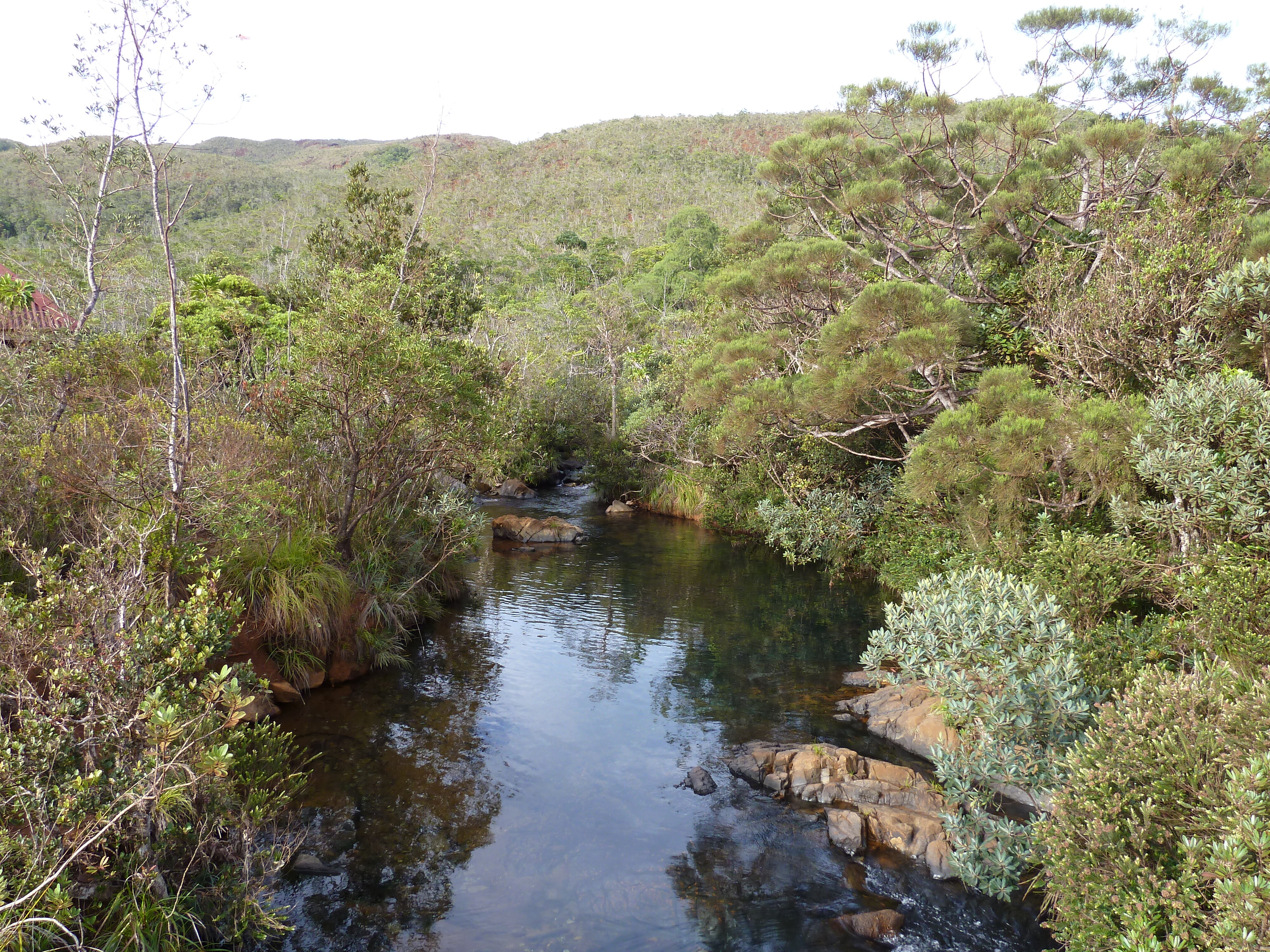 Picture New Caledonia Parc de la Riviere Bleue 2010-05 103 - Center Parc de la Riviere Bleue