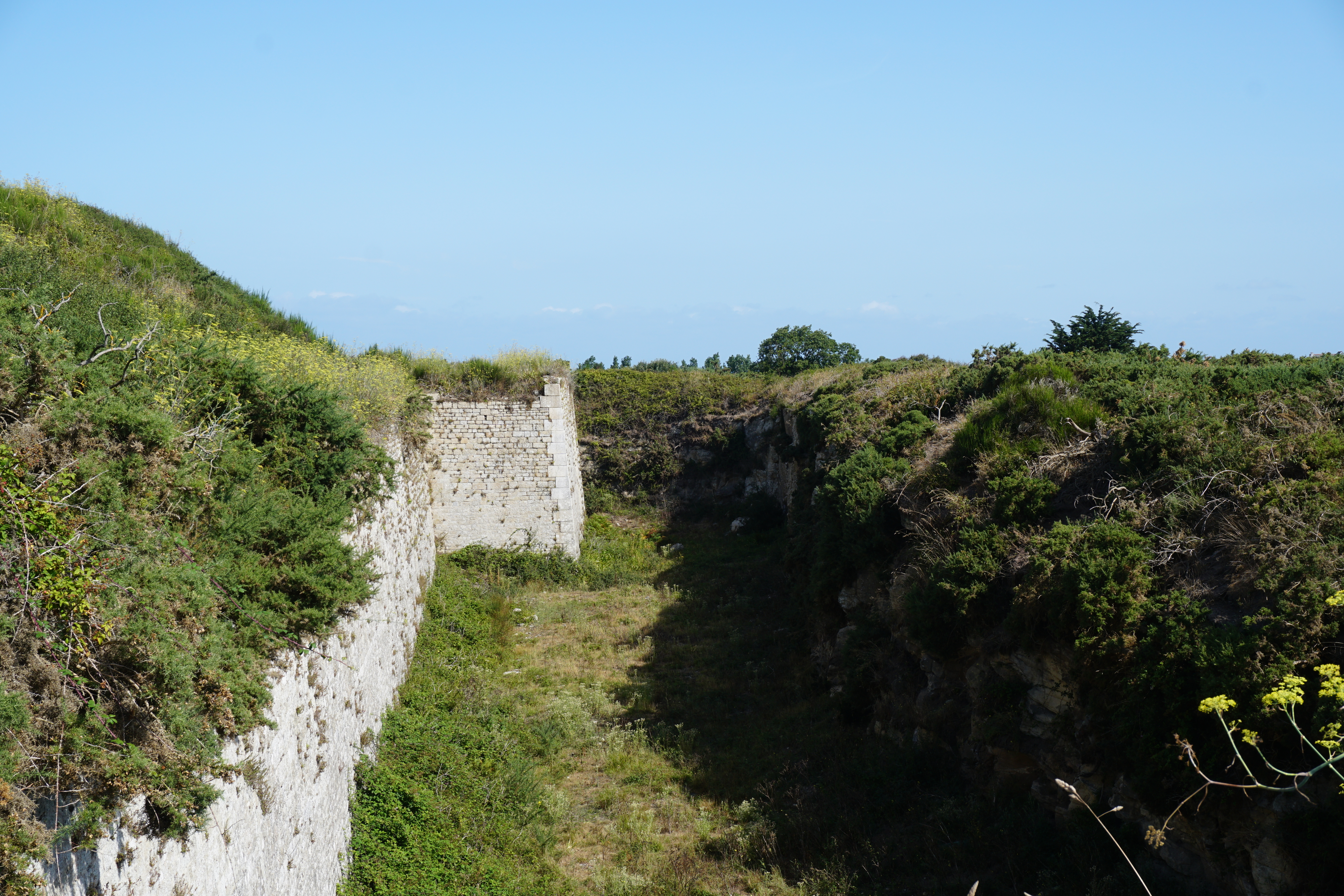 Picture France Hoedic 2016-08 89 - Center Hoedic