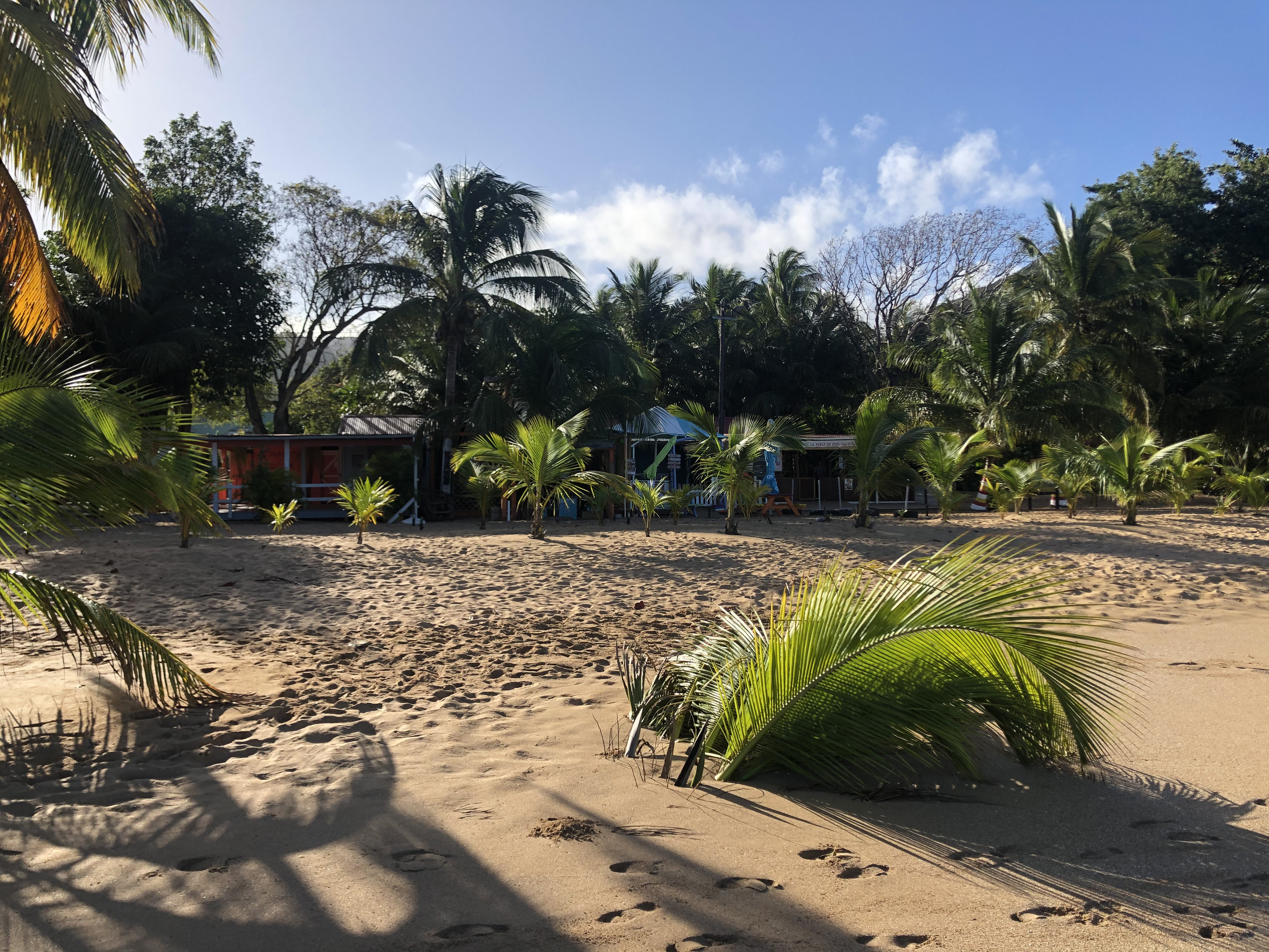 Picture Guadeloupe La Perle Beach 2021-02 33 - Discovery La Perle Beach