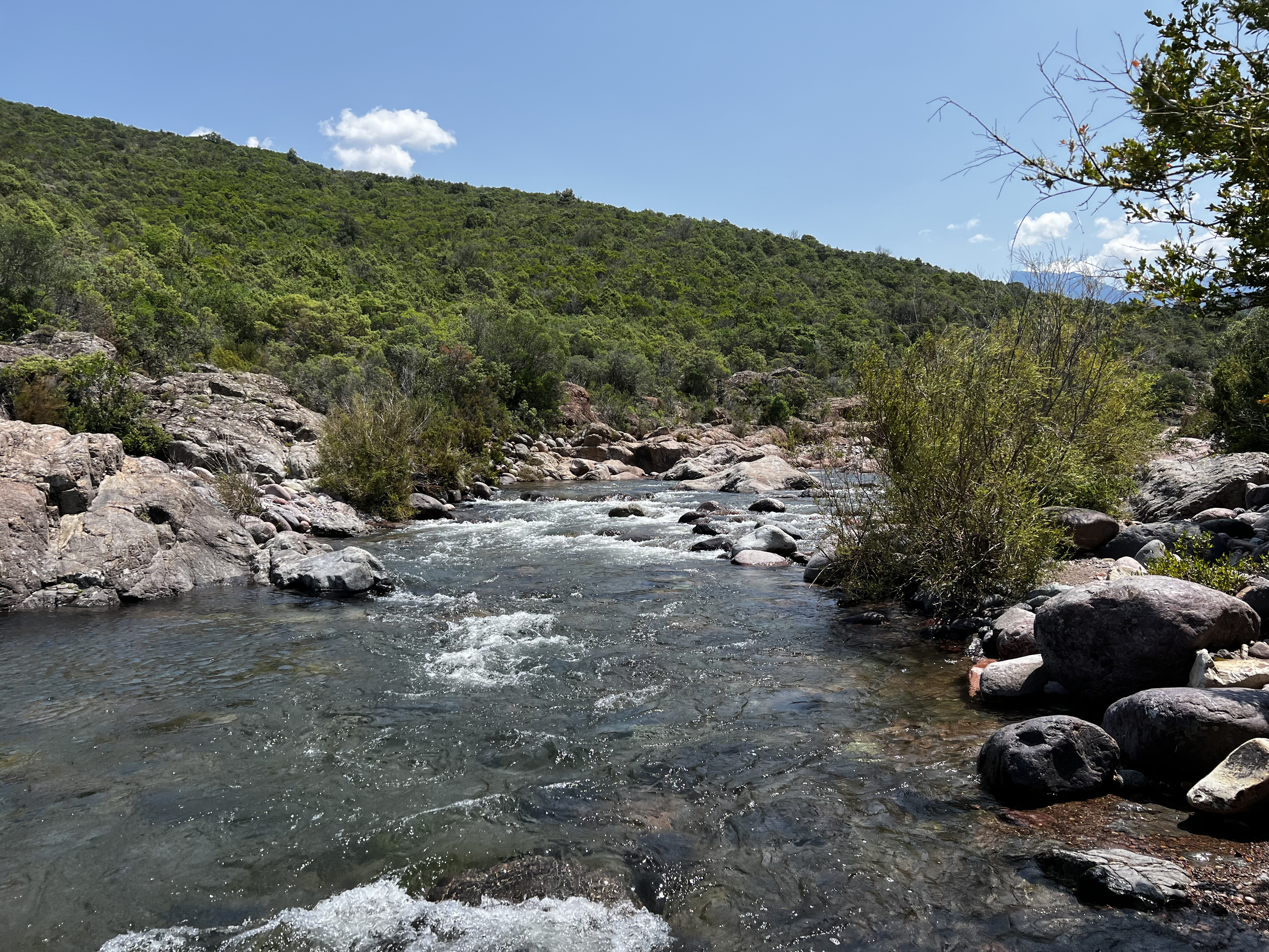 Picture France Corsica Fango river 2023-06 12 - Center Fango river