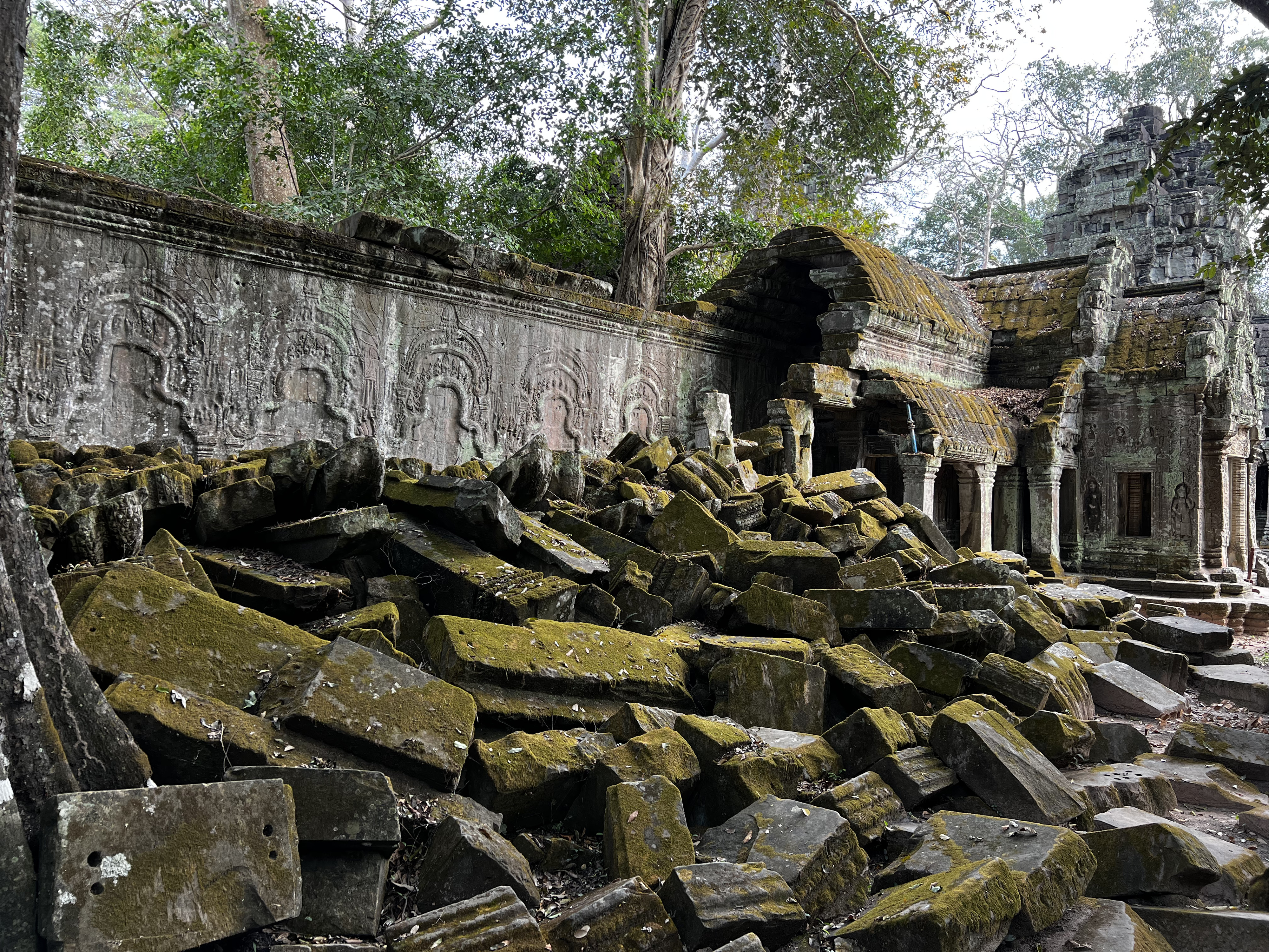 Picture Cambodia Siem Reap Ta Prohm 2023-01 151 - Tours Ta Prohm