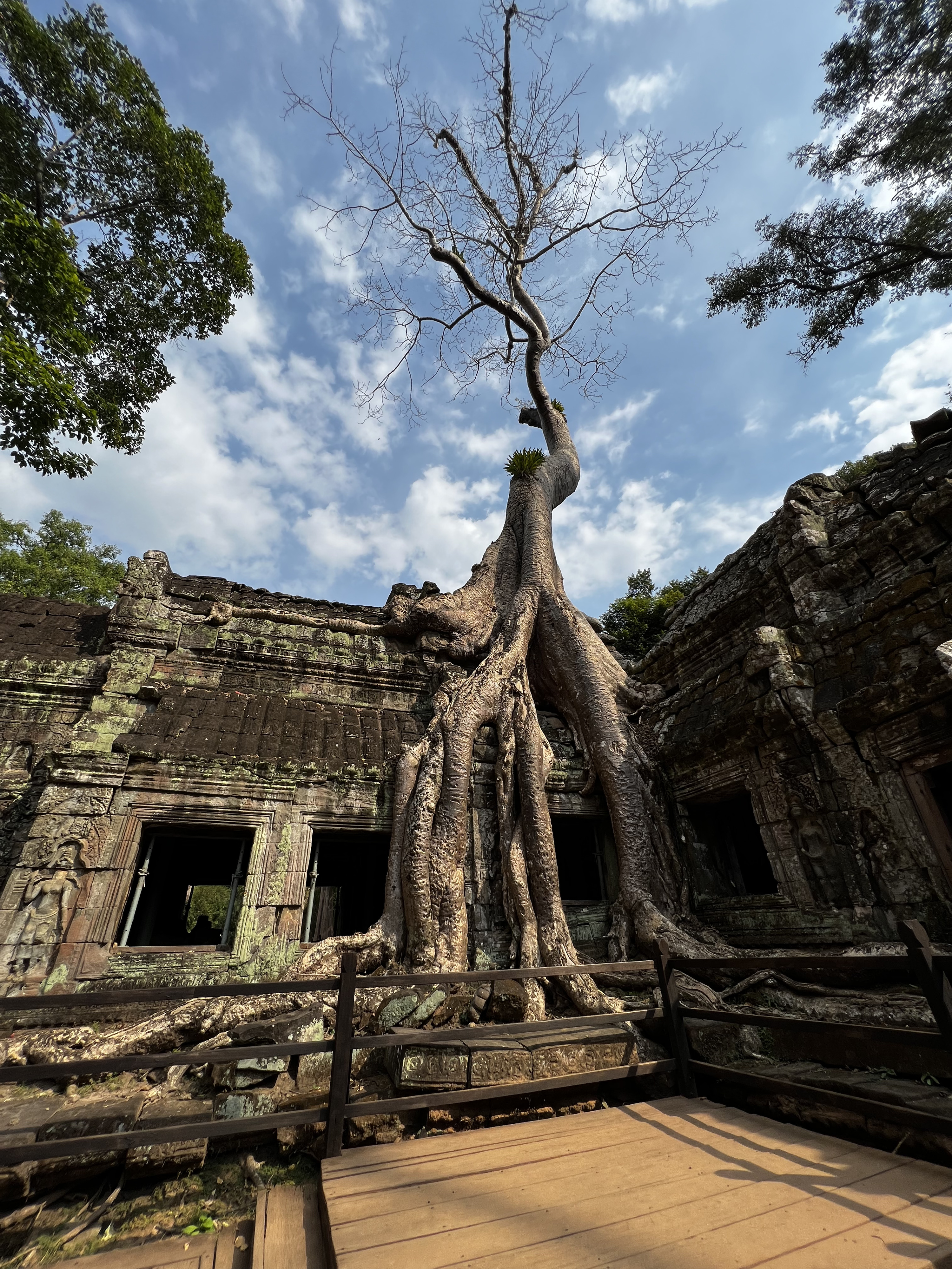 Picture Cambodia Siem Reap Ta Prohm 2023-01 47 - Recreation Ta Prohm