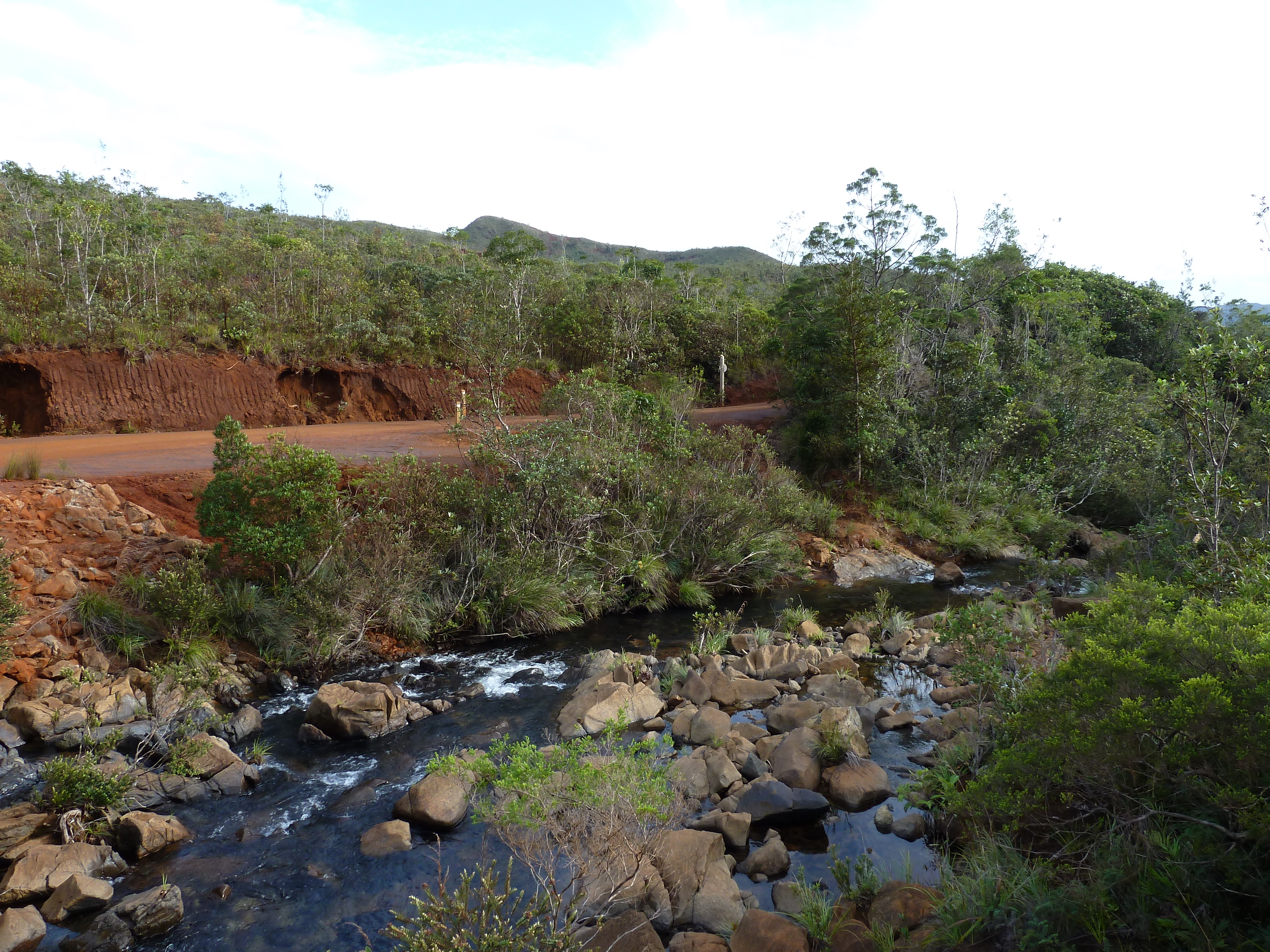 Picture New Caledonia Parc de la Riviere Bleue 2010-05 57 - Tour Parc de la Riviere Bleue