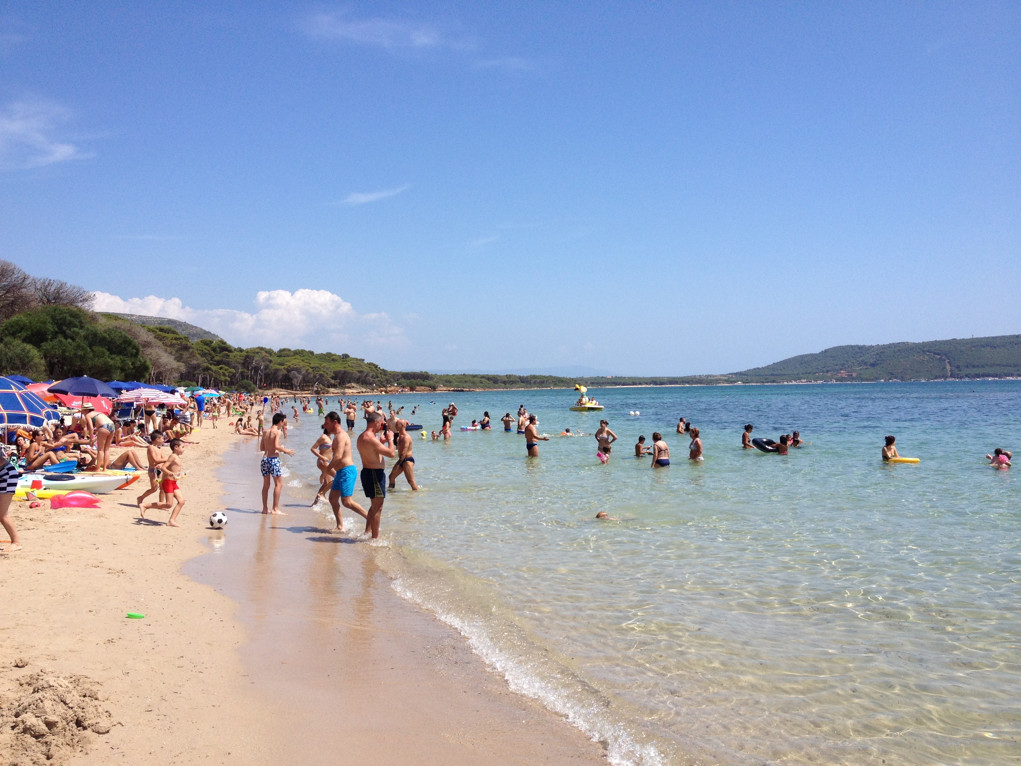 Picture Italy Sardinia Porto Conte Regional Natural Park 2015-06 54 - Tour Porto Conte Regional Natural Park