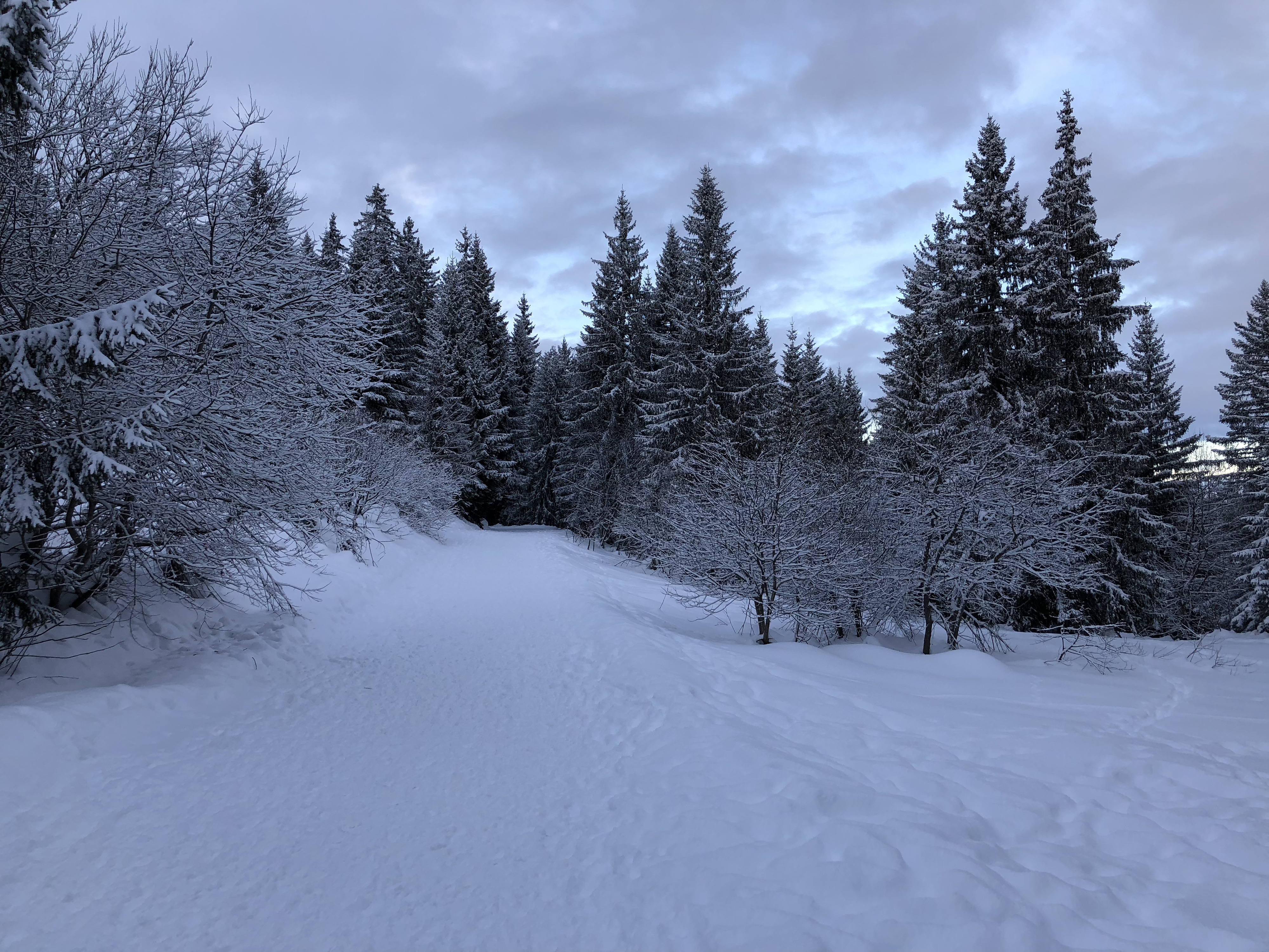 Picture France La Clusaz 2017-12 293 - Recreation La Clusaz