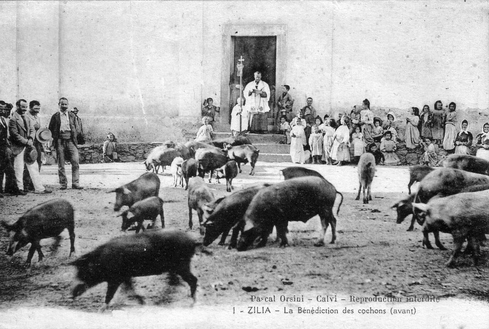 Picture France Corsica Old Postcards 1900-01 59 - History Old Postcards