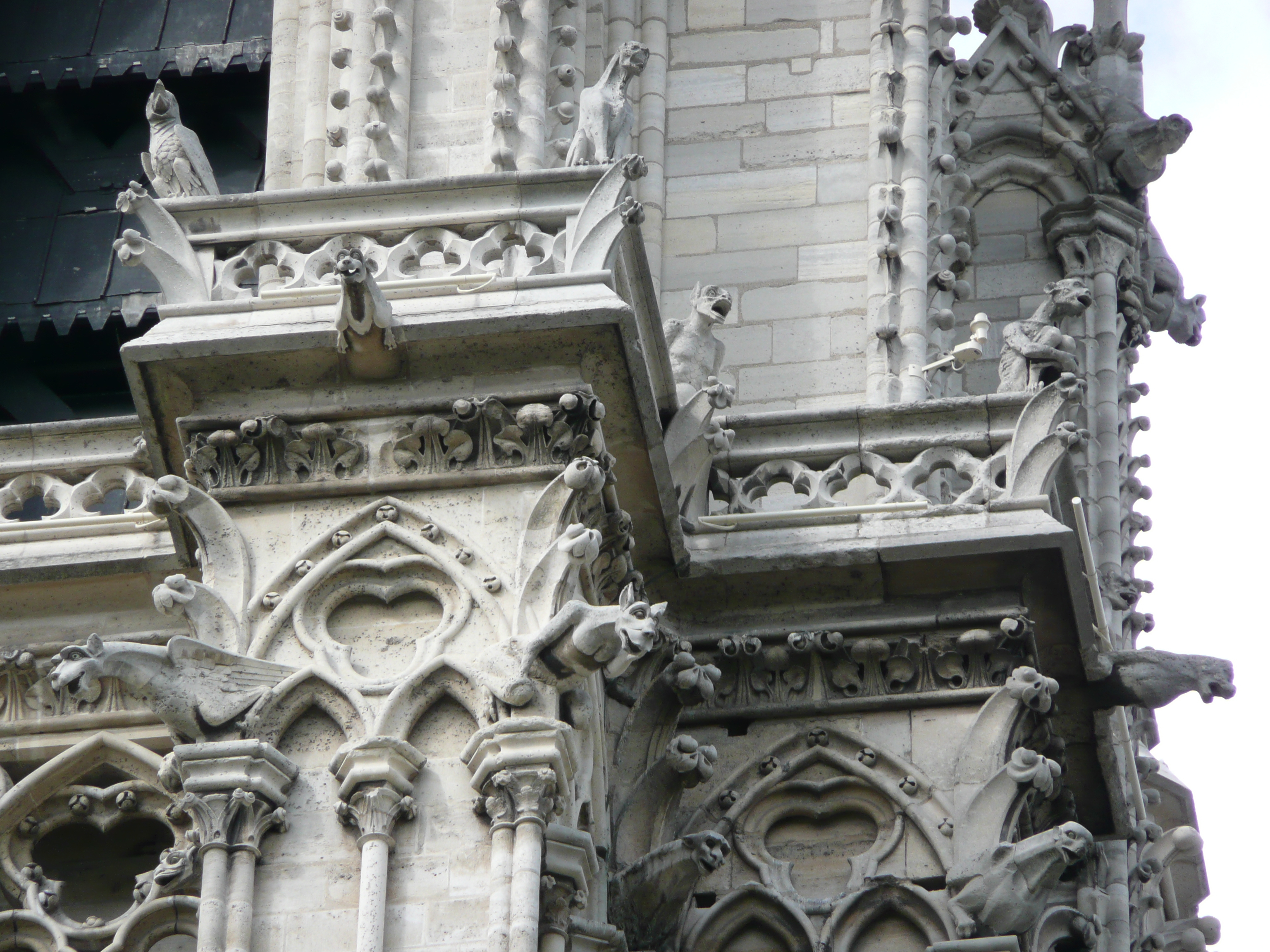 Picture France Paris Notre Dame 2007-05 194 - Tours Notre Dame