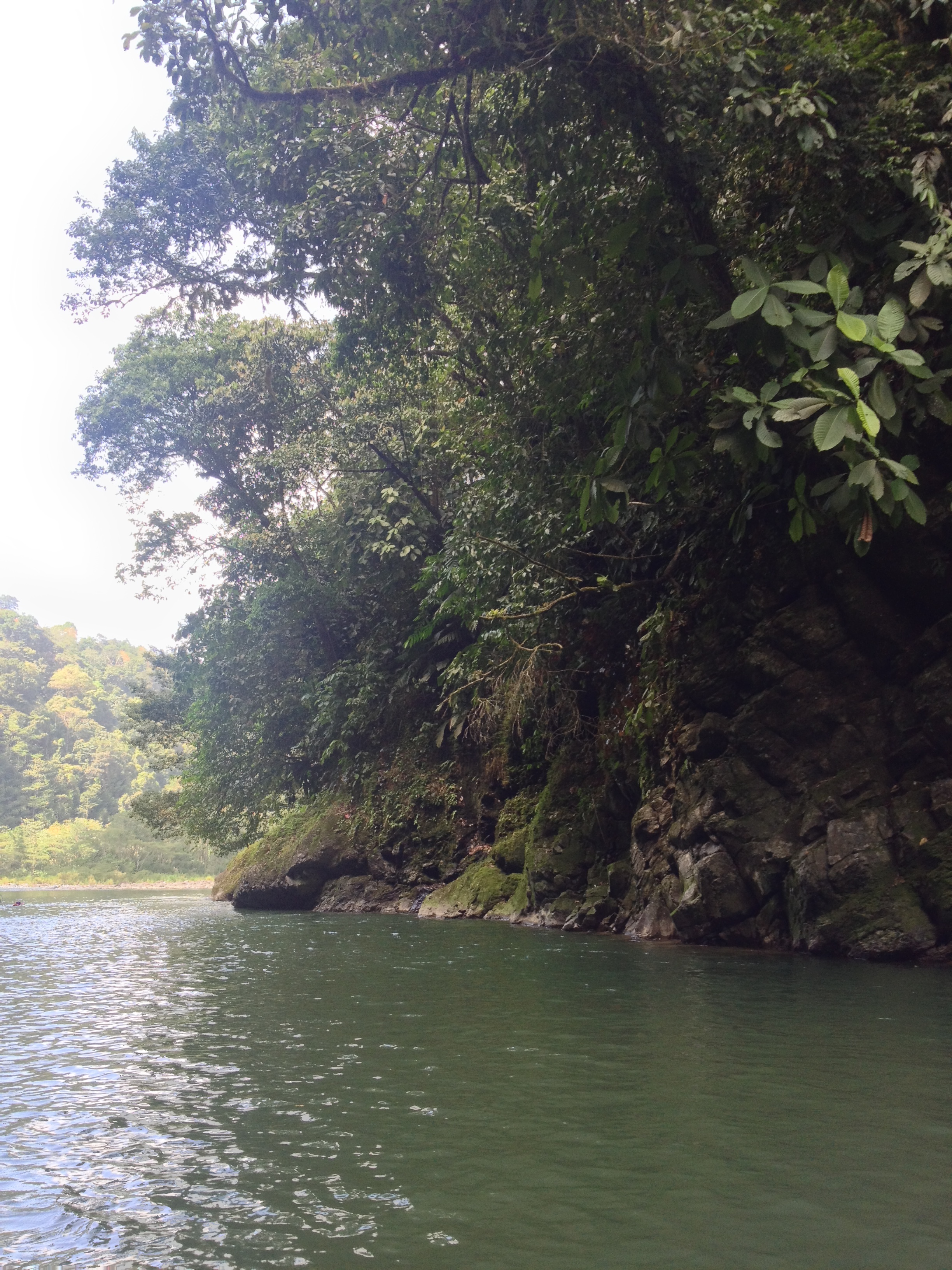 Picture Costa Rica Pacuare River 2015-03 237 - History Pacuare River