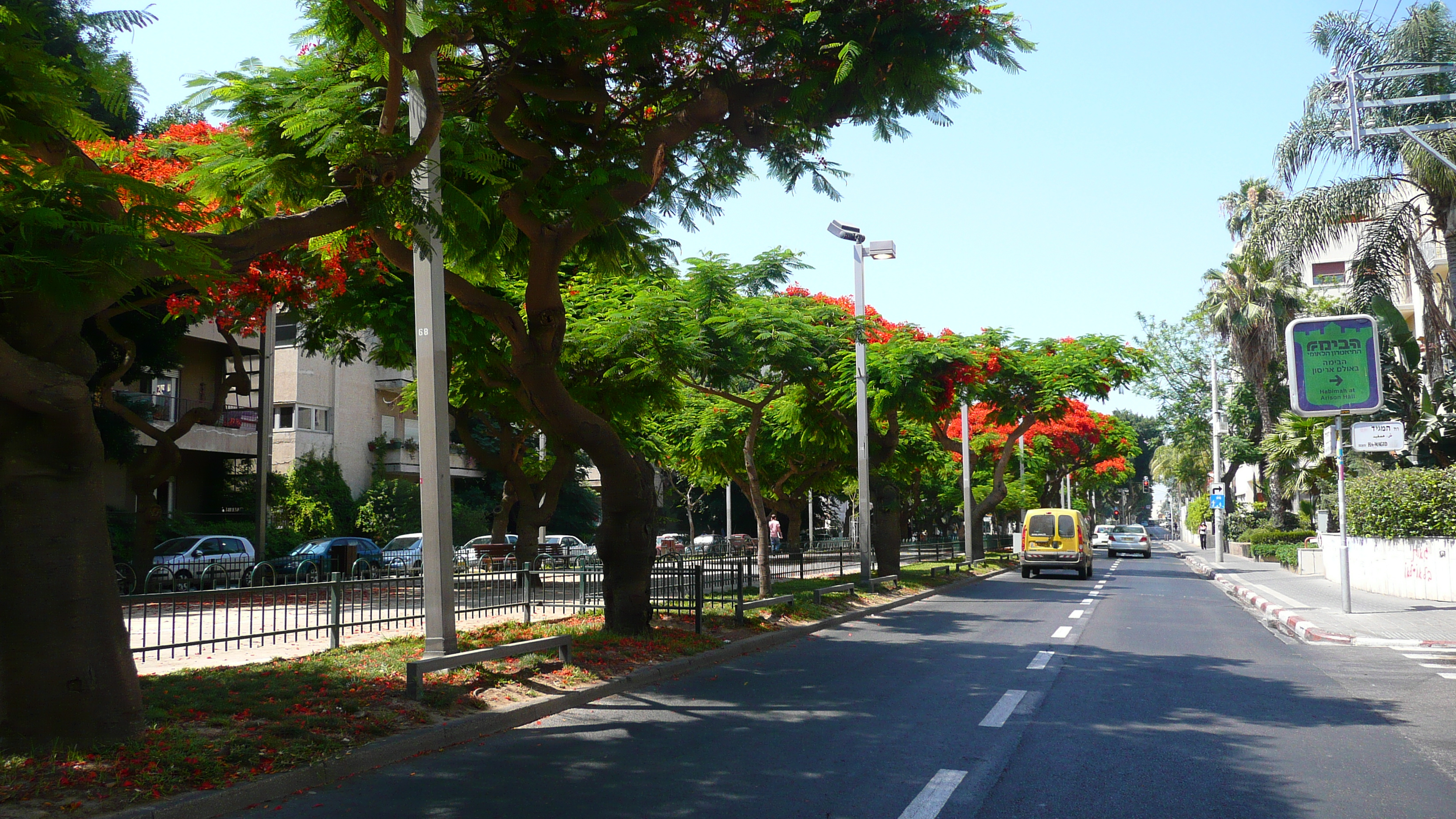 Picture Israel Tel Aviv Rothschild Street 2007-06 22 - Recreation Rothschild Street