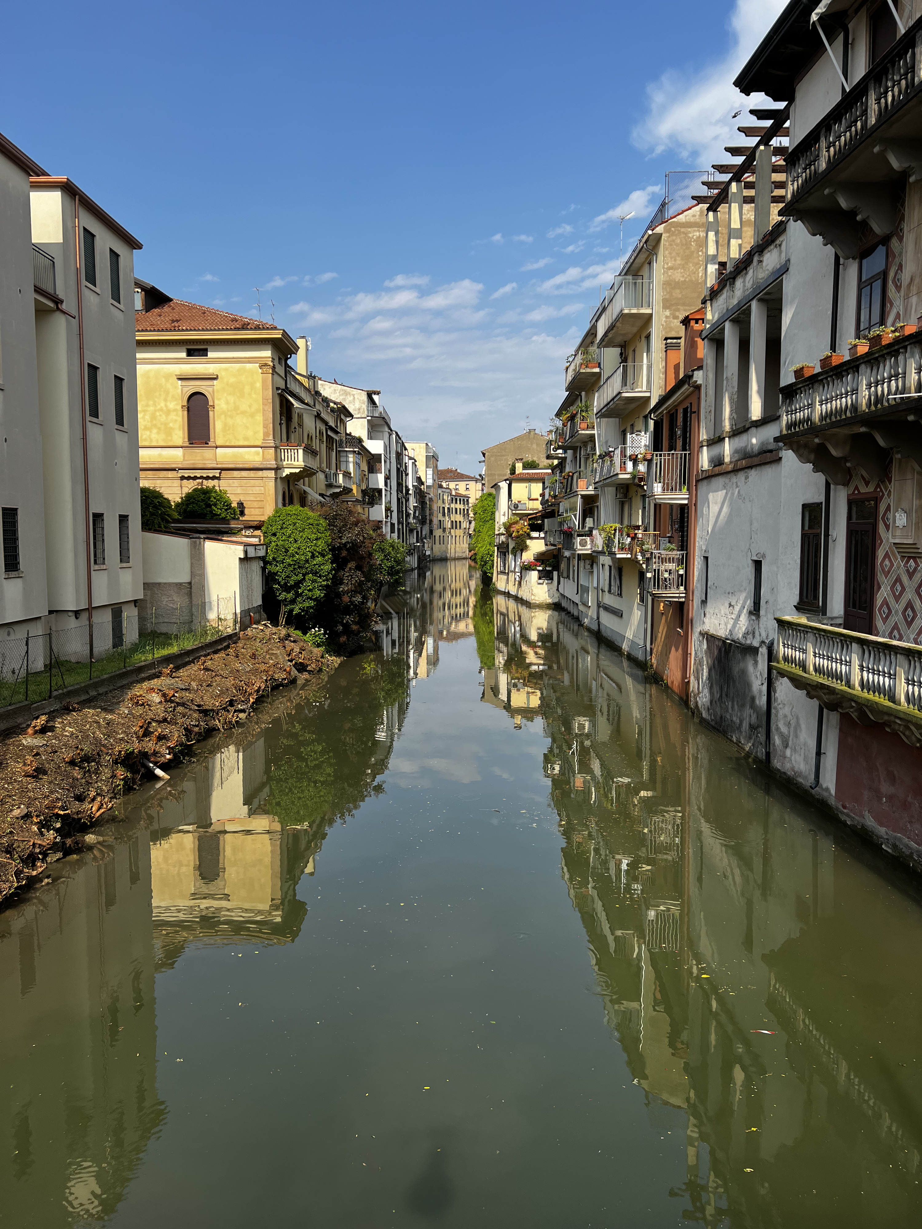 Picture Italy Padua 2022-05 77 - History Padua