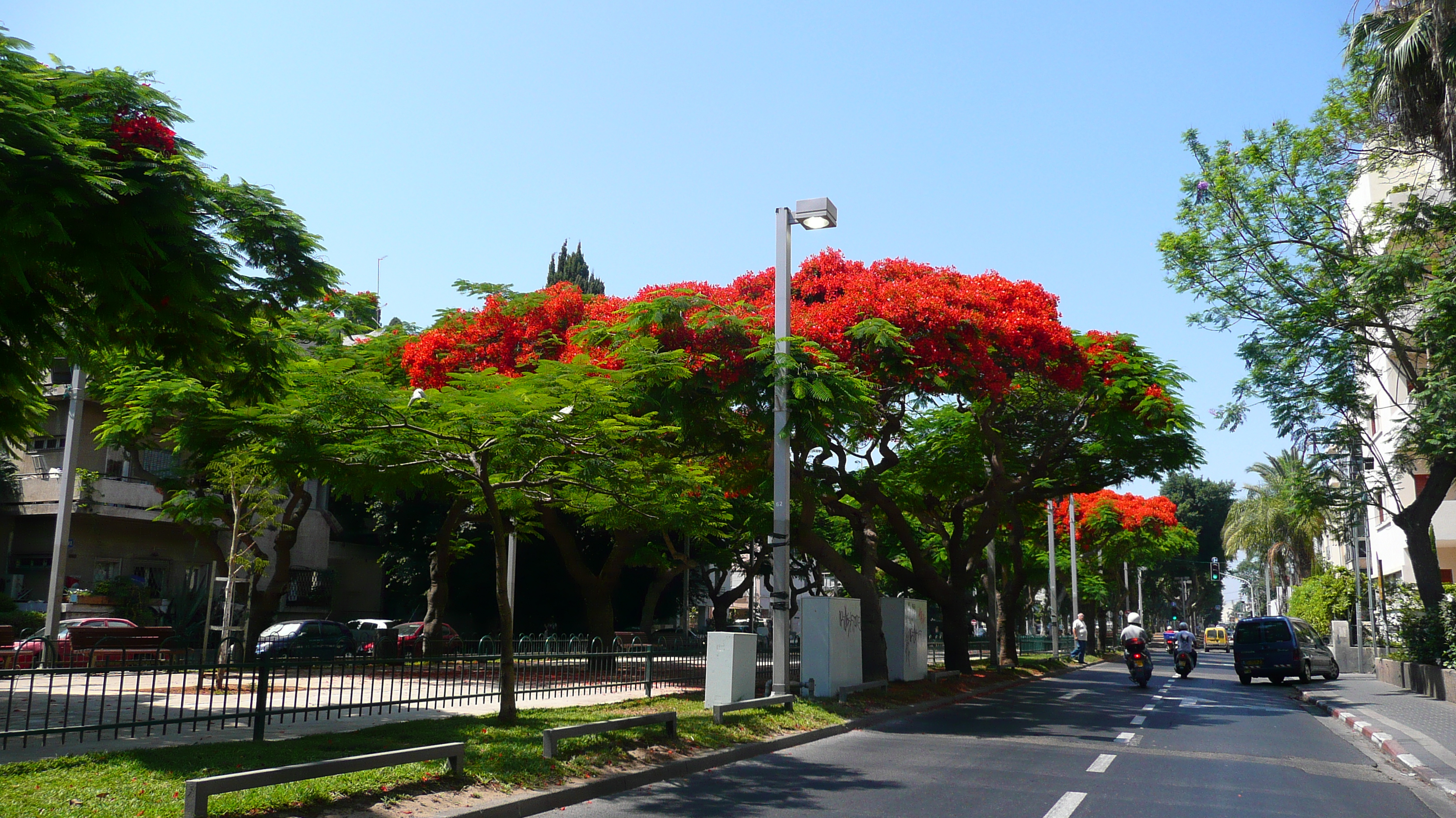 Picture Israel Tel Aviv Rothschild Street 2007-06 17 - Around Rothschild Street