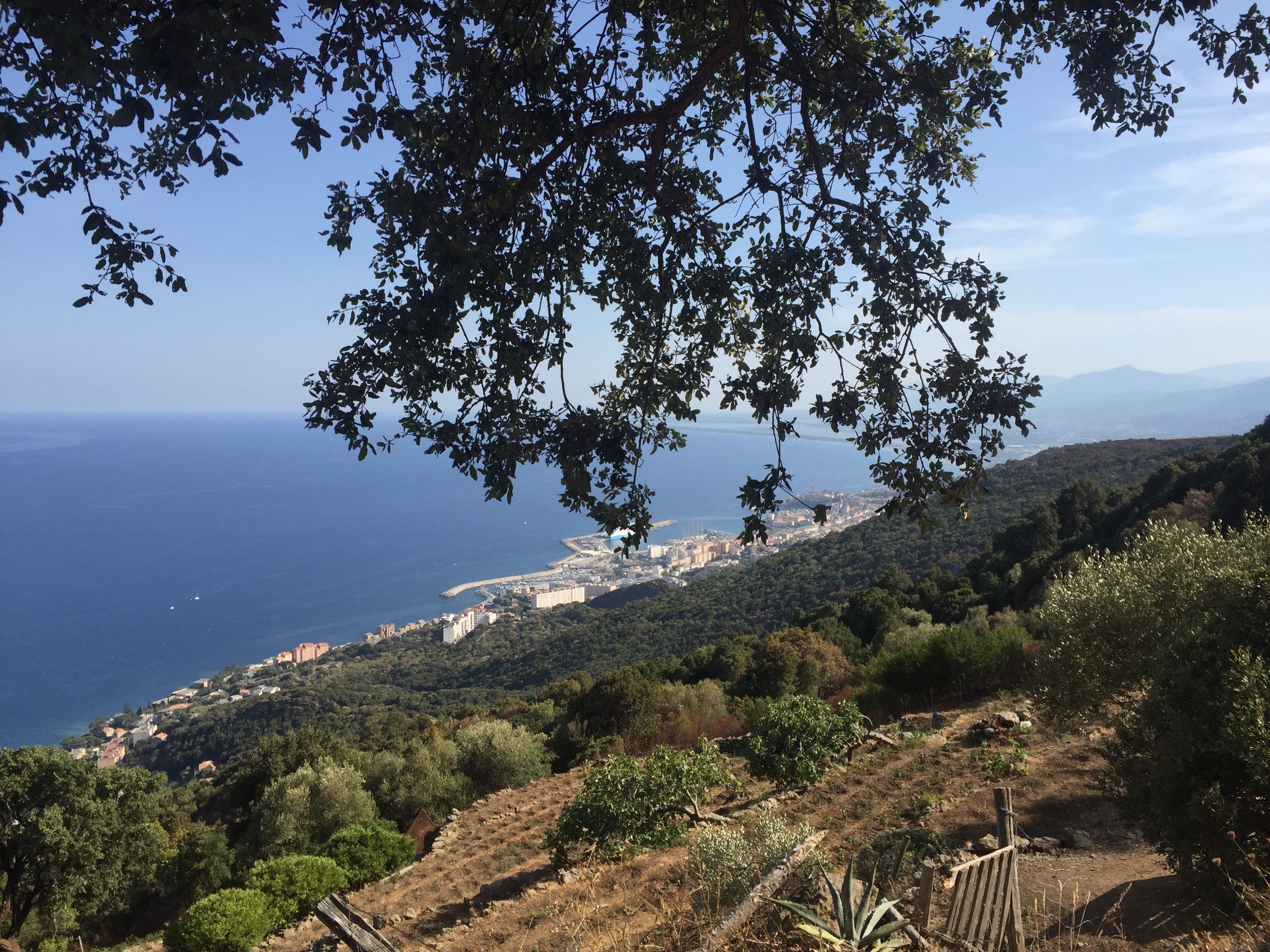 Picture France Corsica San Martino di Lota 2017-09 1 - Around San Martino di Lota