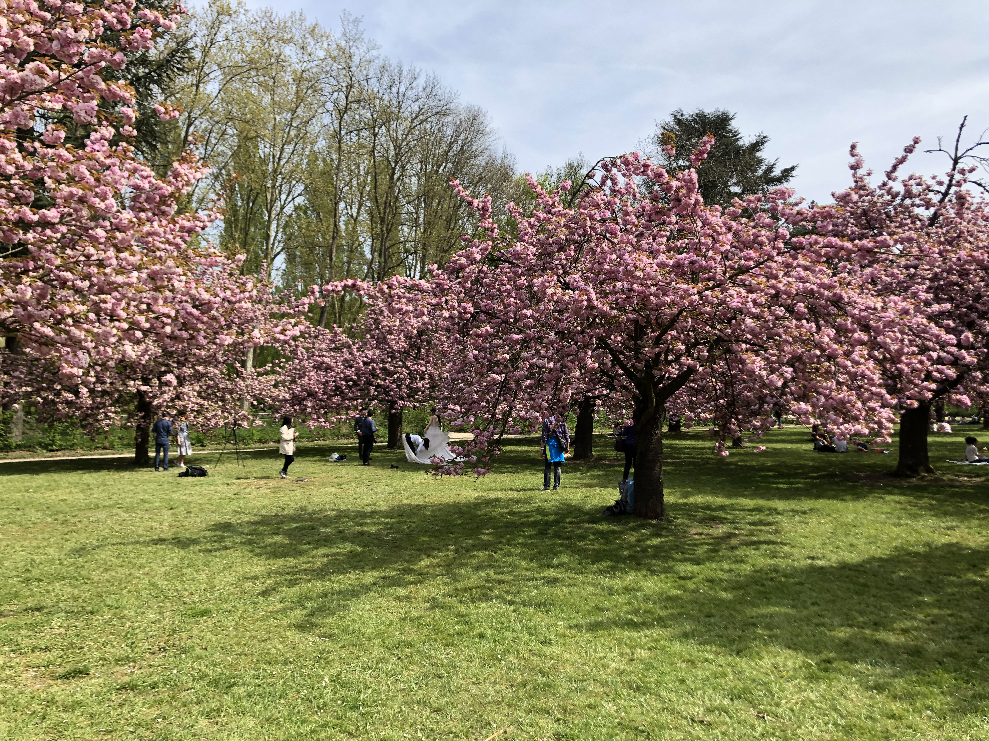 Picture France Parc de Sceaux 2019-04 10 - Around Parc de Sceaux