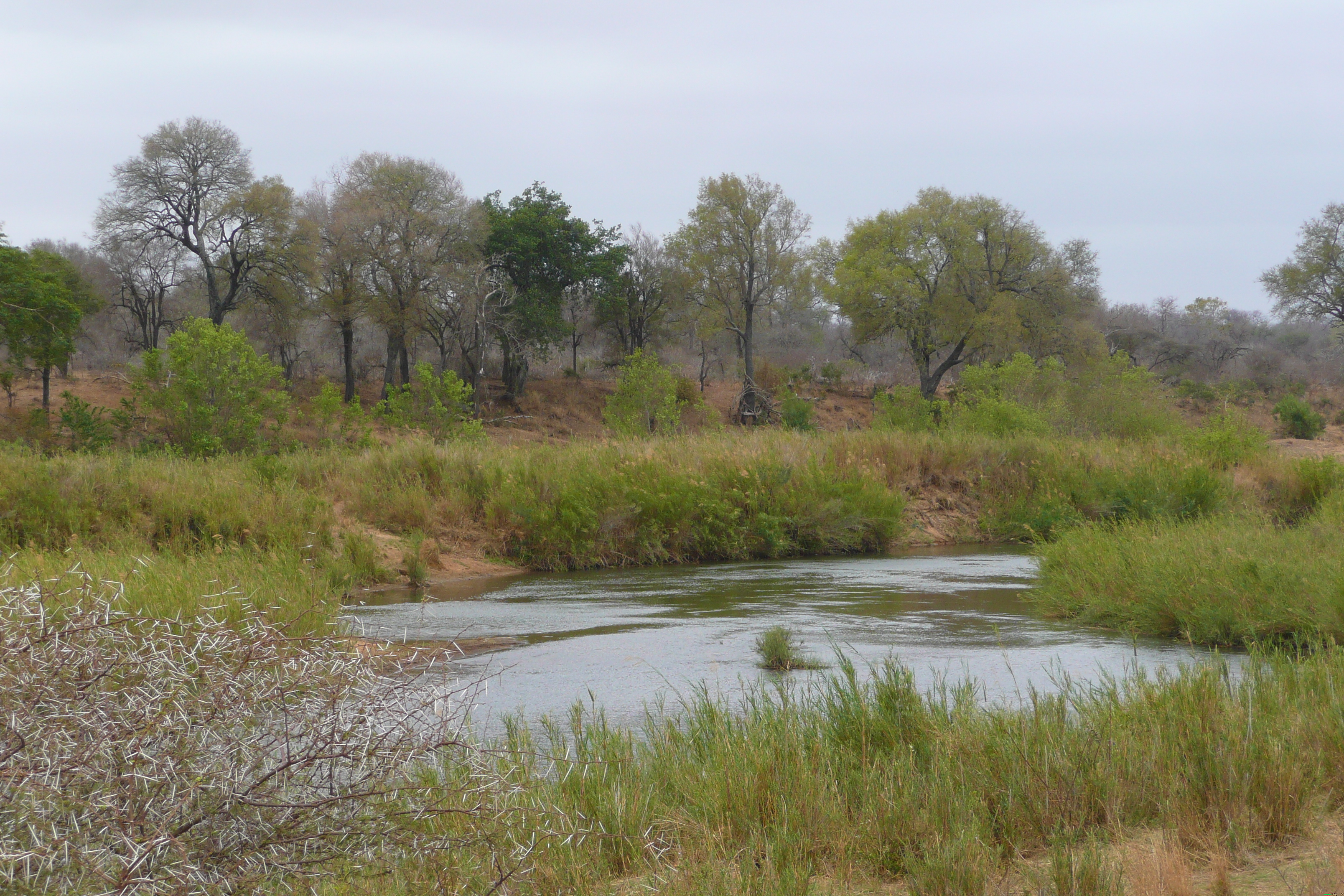 Picture South Africa Kruger National Park Sable River 2008-09 17 - Recreation Sable River